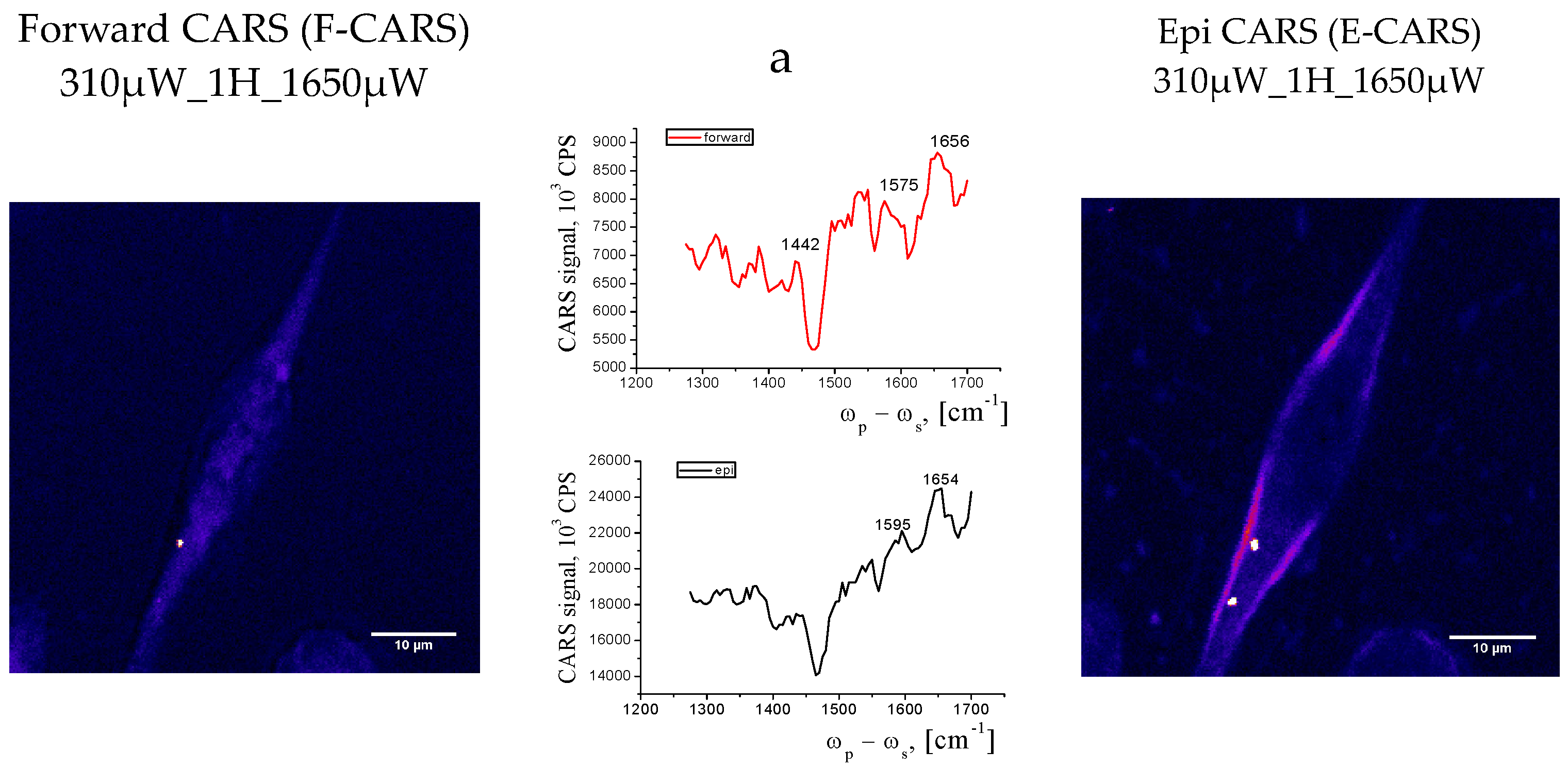 Preprints 120791 g008a