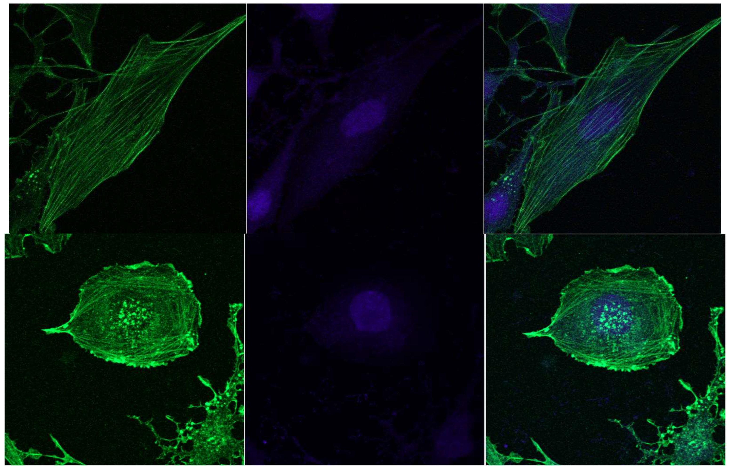 Preprints 120791 g009