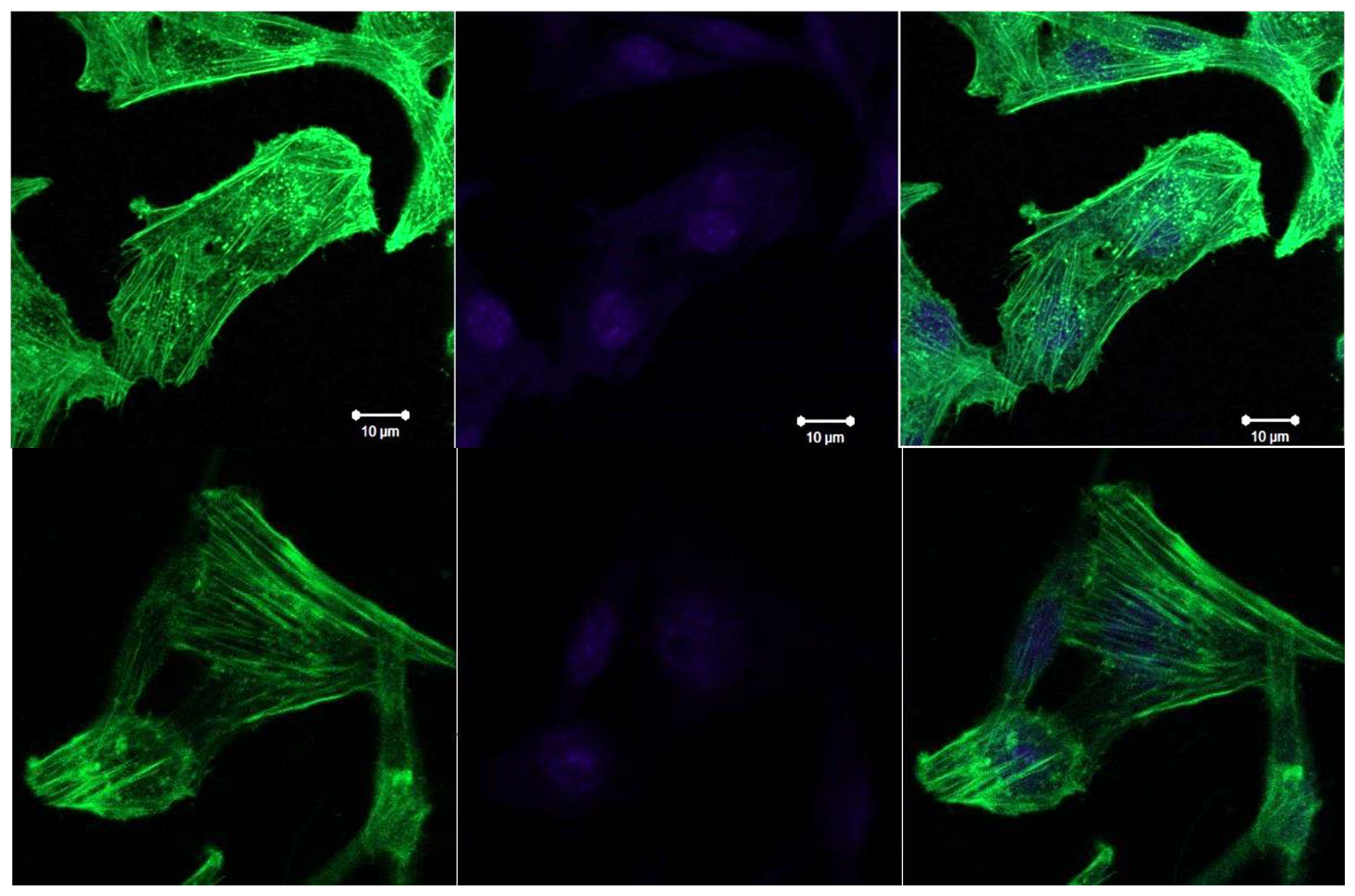 Preprints 120791 g010