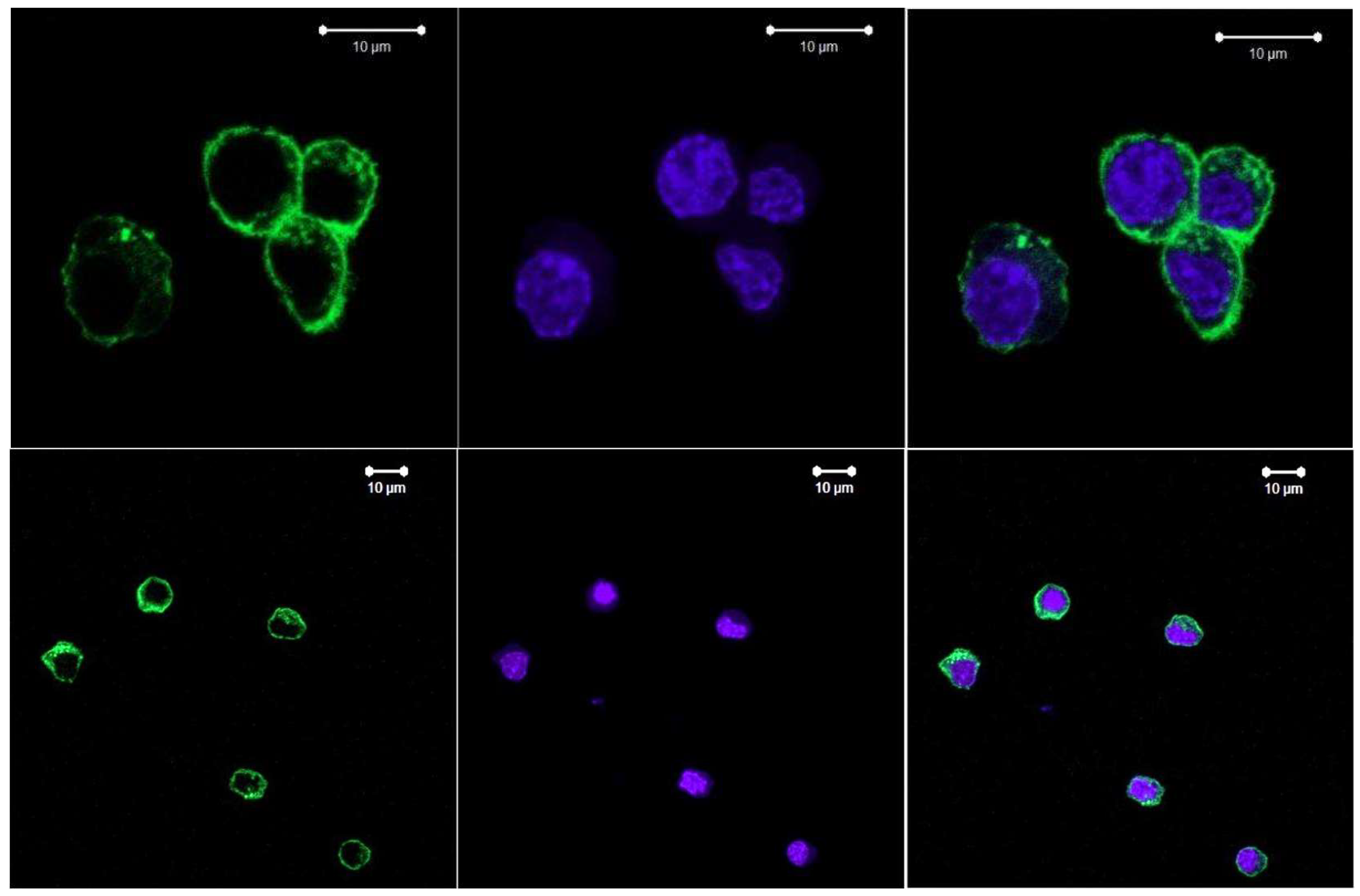 Preprints 120791 g011