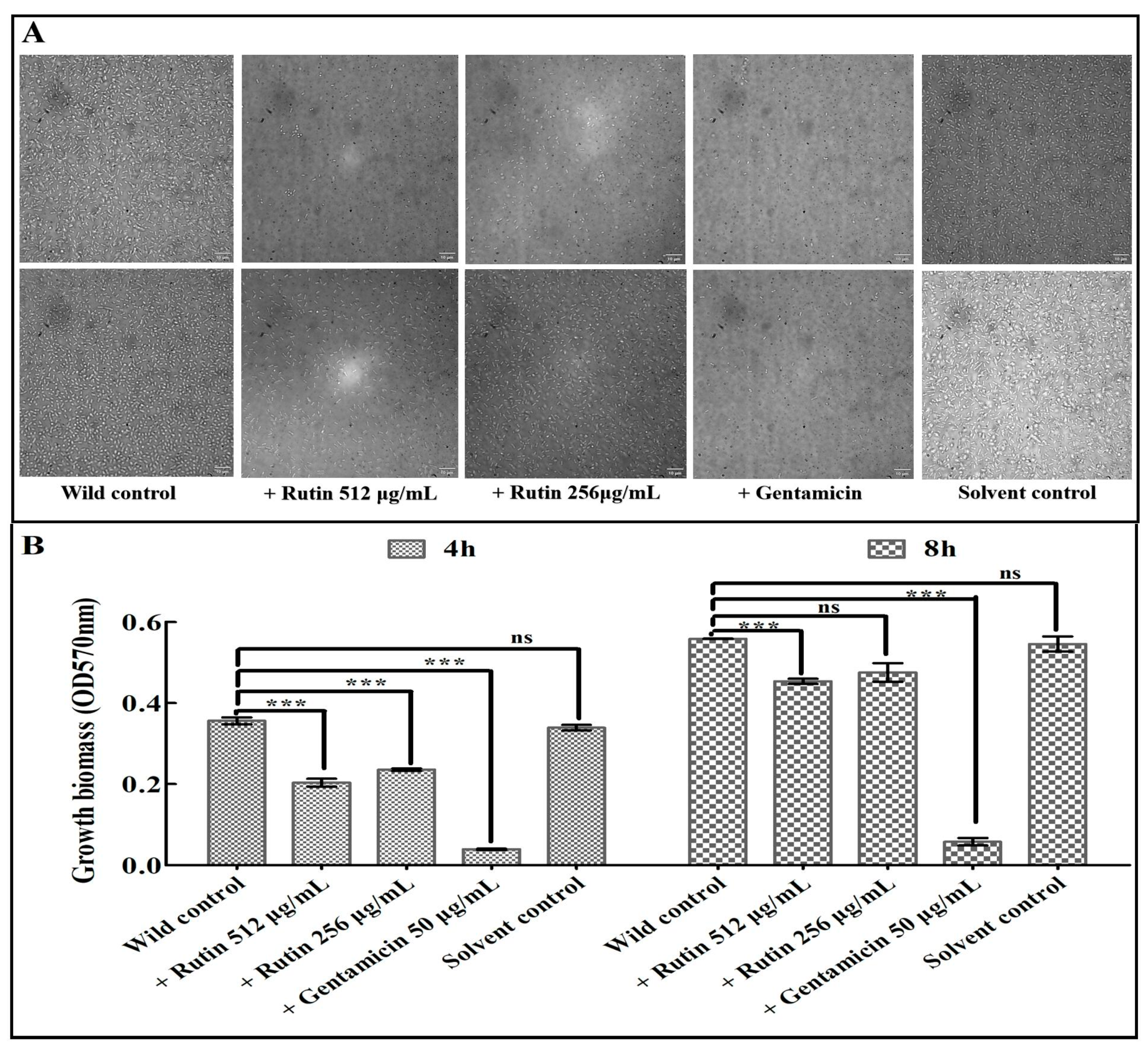 Preprints 69802 g001