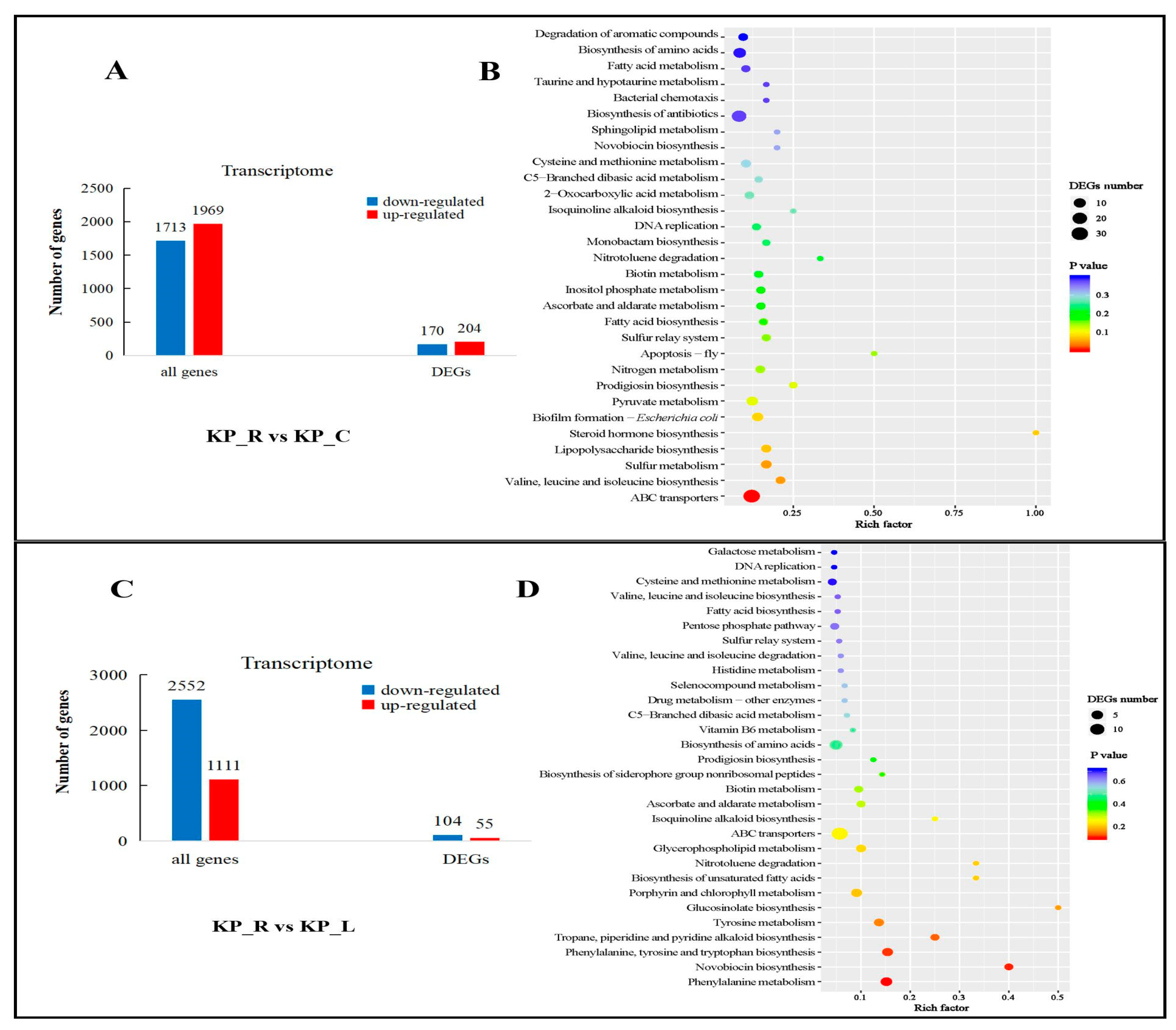 Preprints 69802 g003