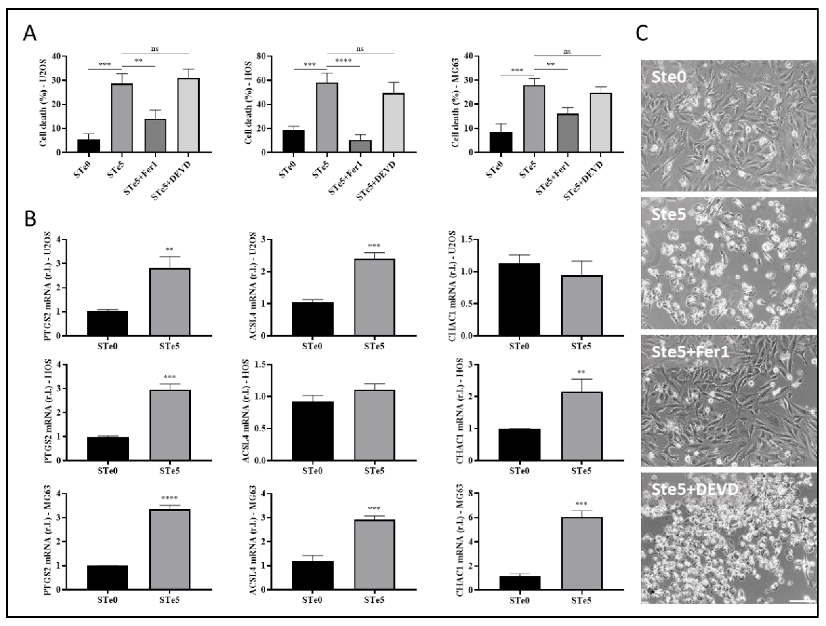 Preprints 118598 g002