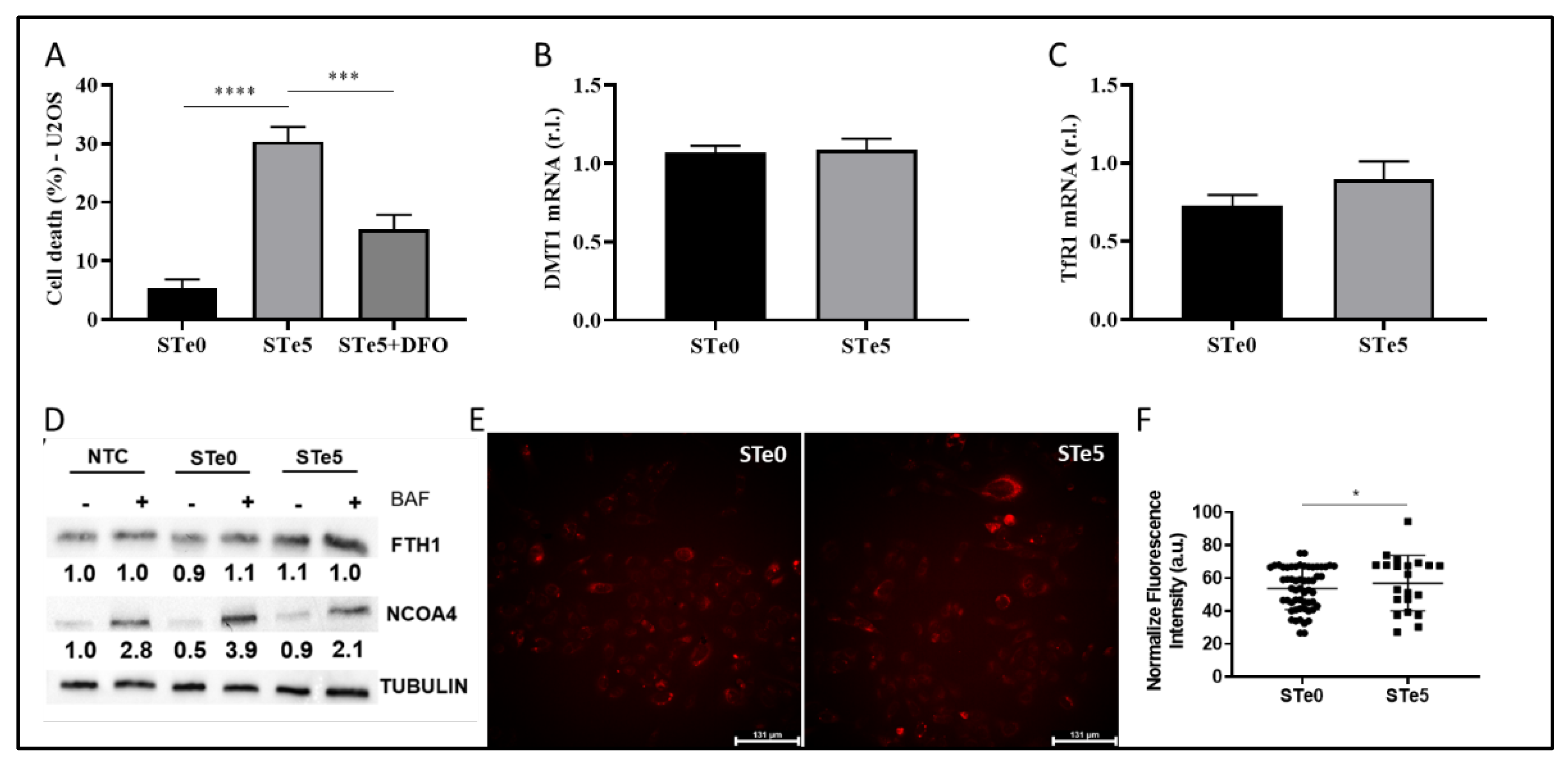 Preprints 118598 g003