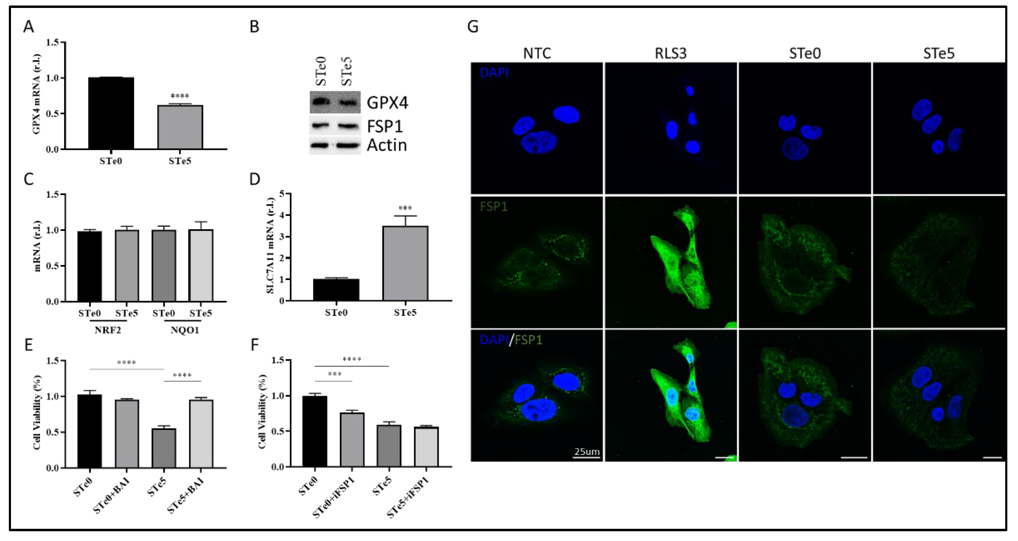 Preprints 118598 g004