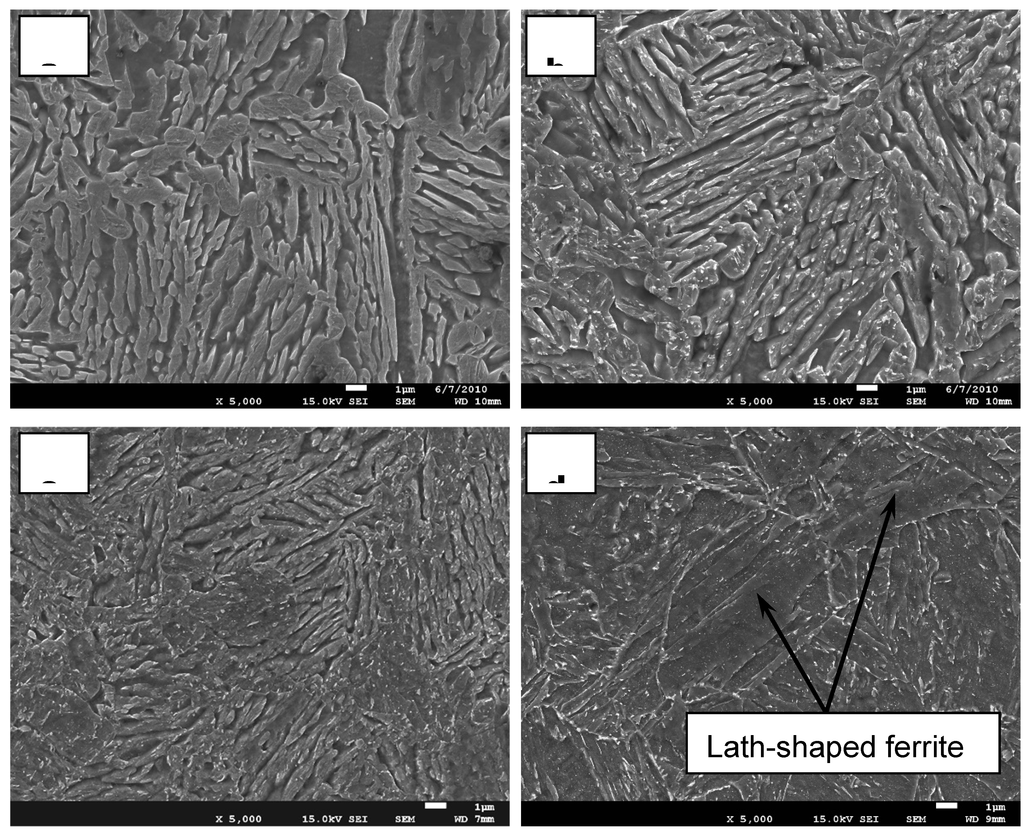 Preprints 112104 g003