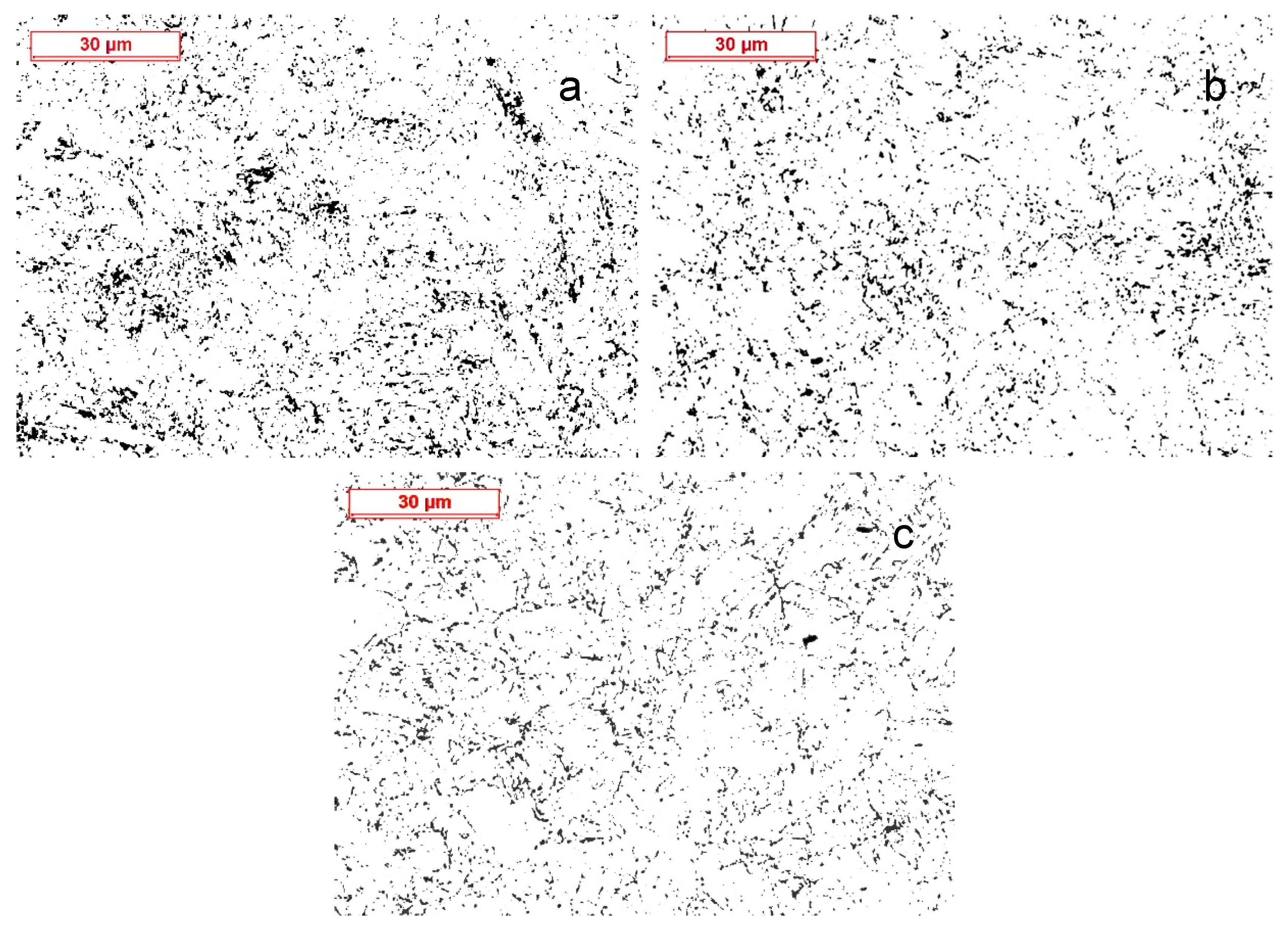 Preprints 112104 g006