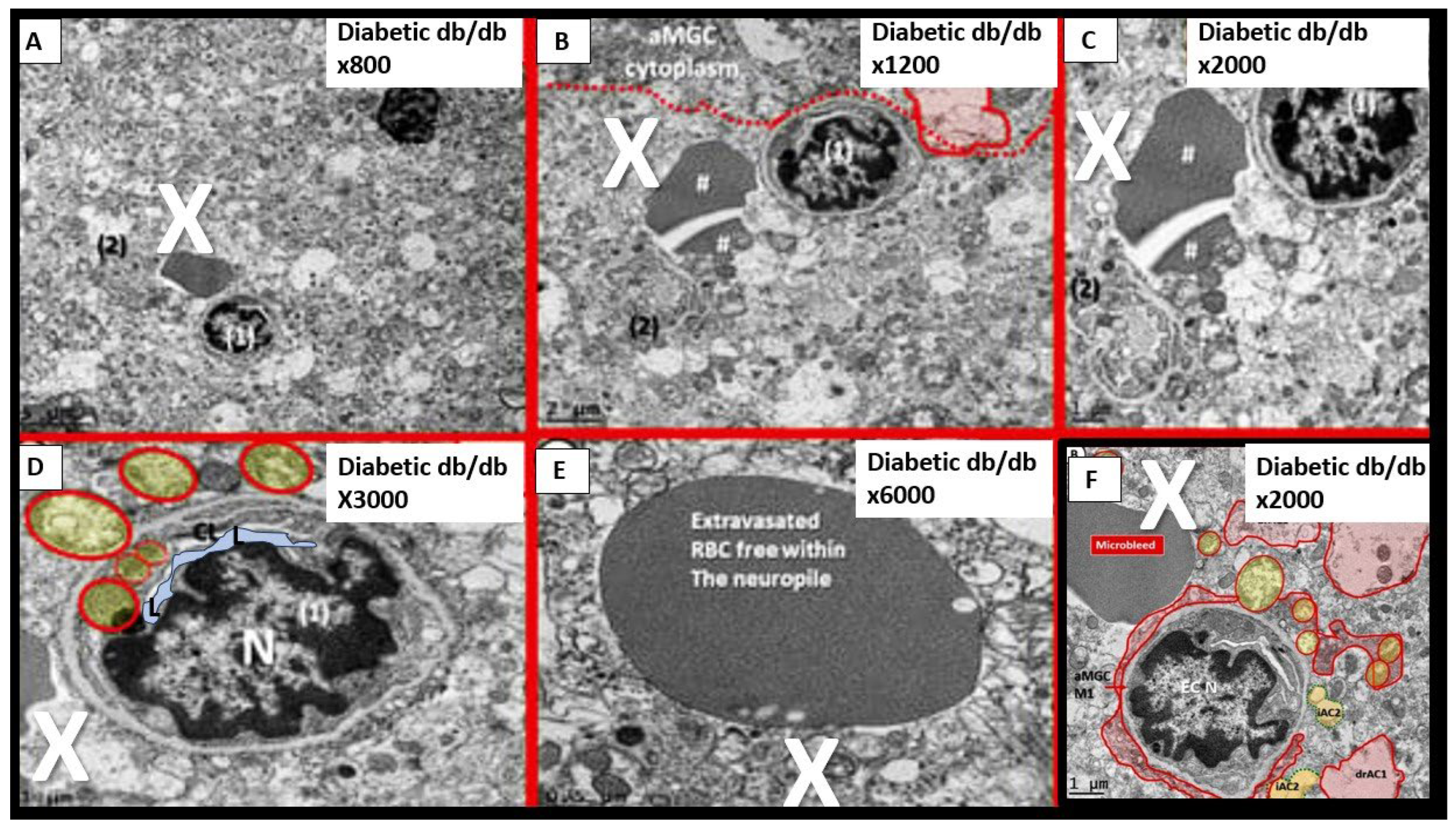 Preprints 92886 g008