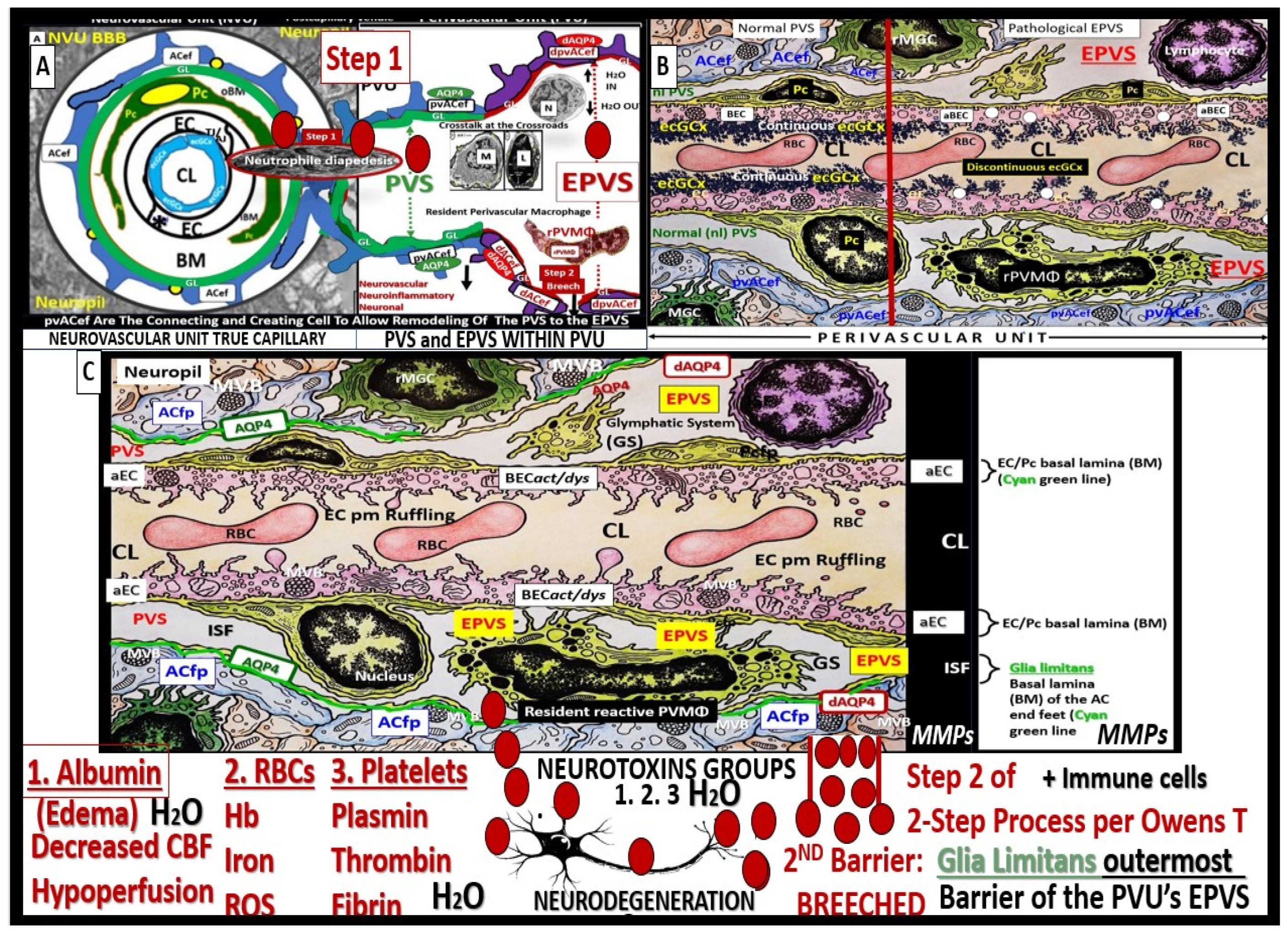 Preprints 92886 g011