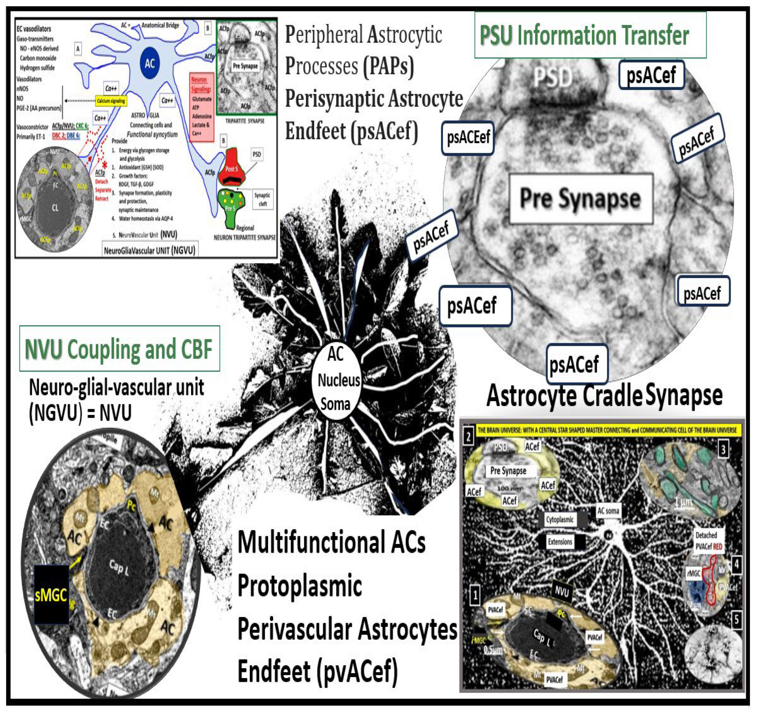 Preprints 92886 g018