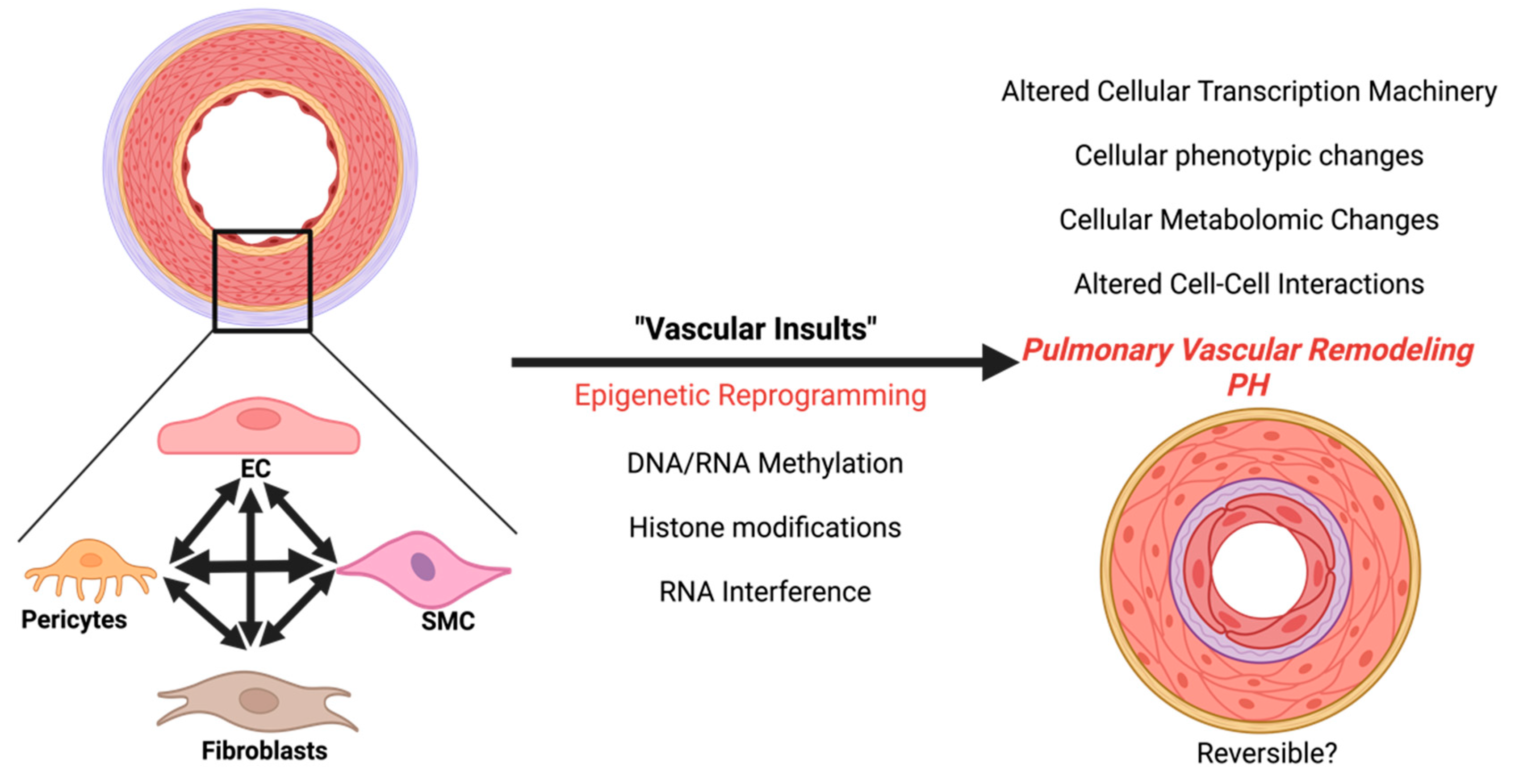 Preprints 95399 g001