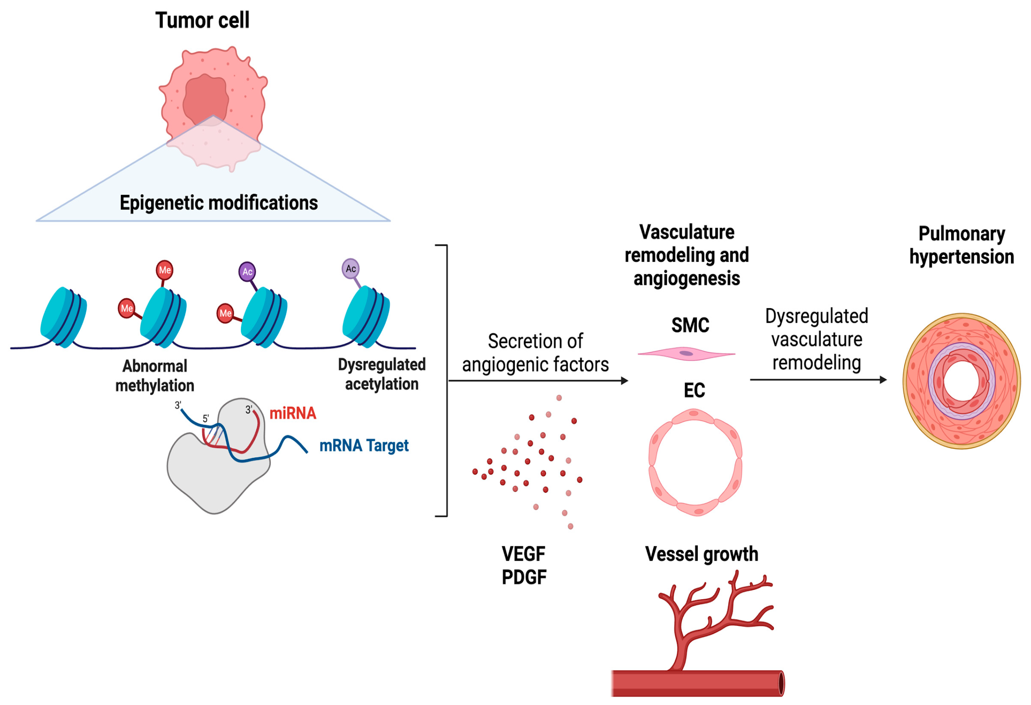 Preprints 95399 g002