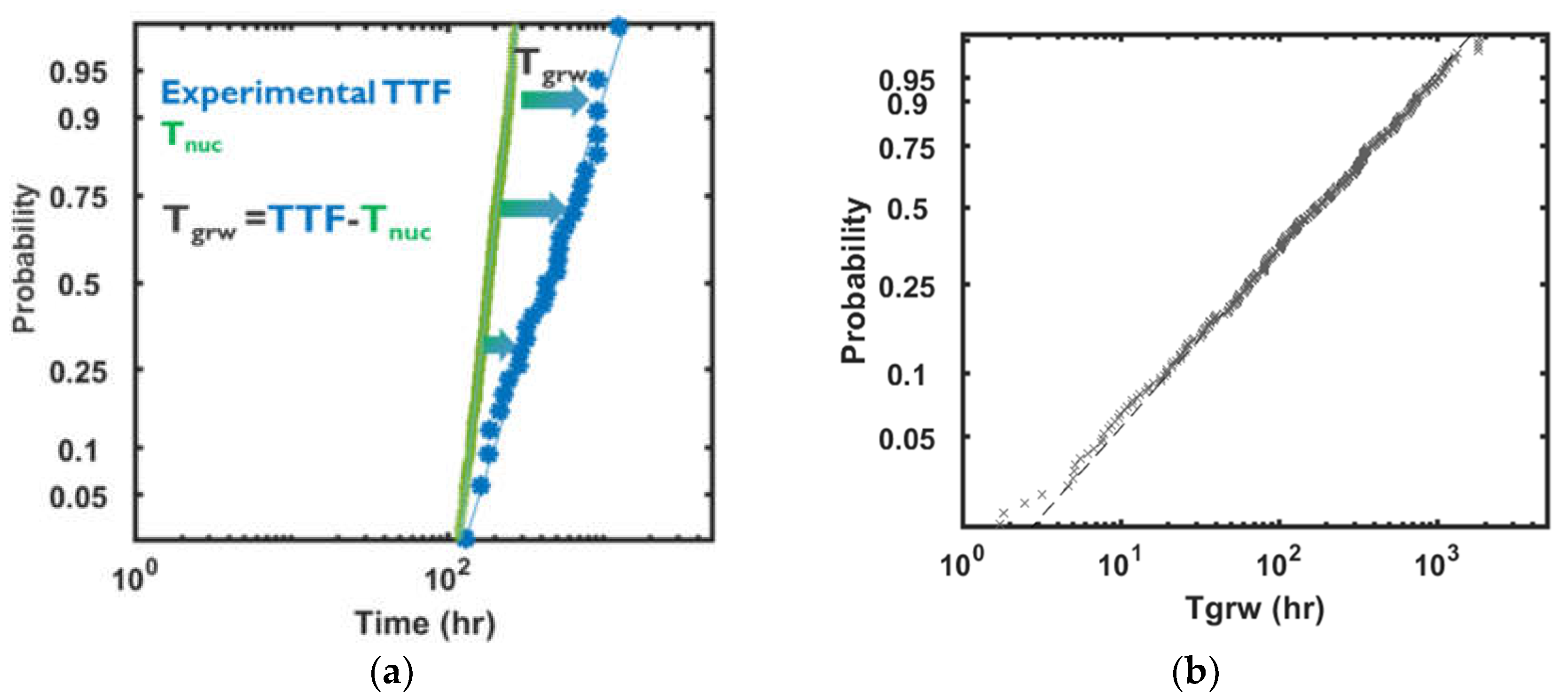 Preprints 110423 g004