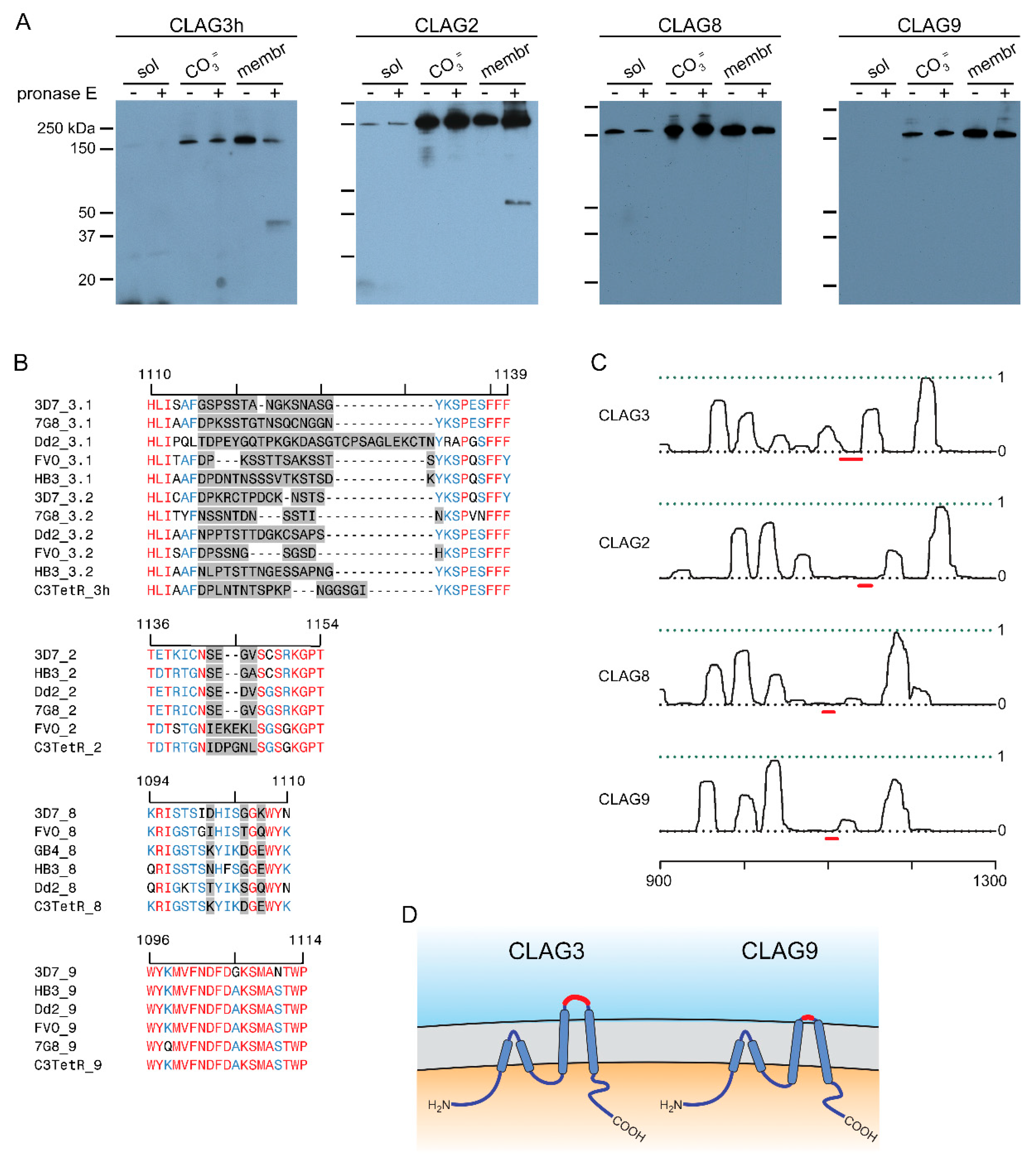 Preprints 104382 g002