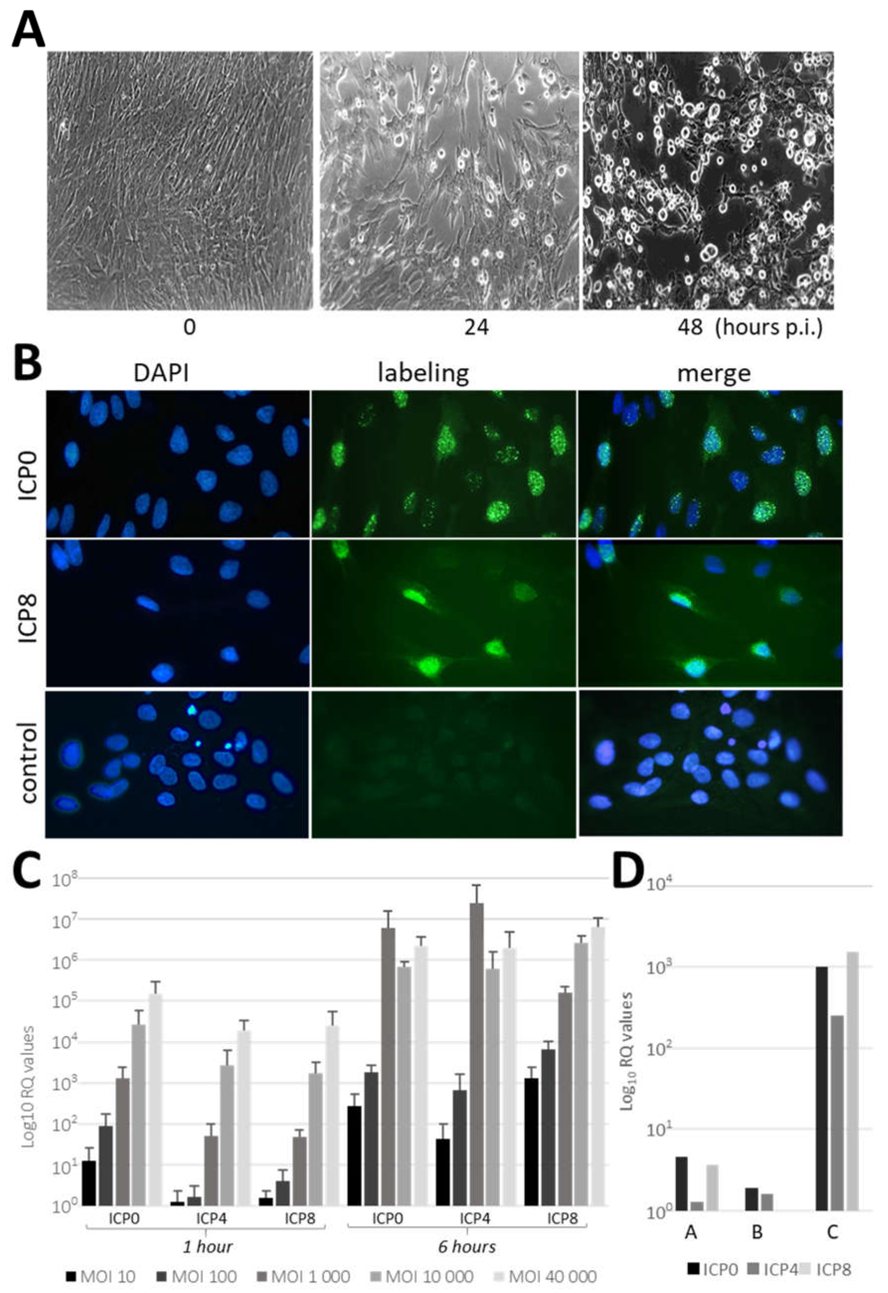 Preprints 109817 g002