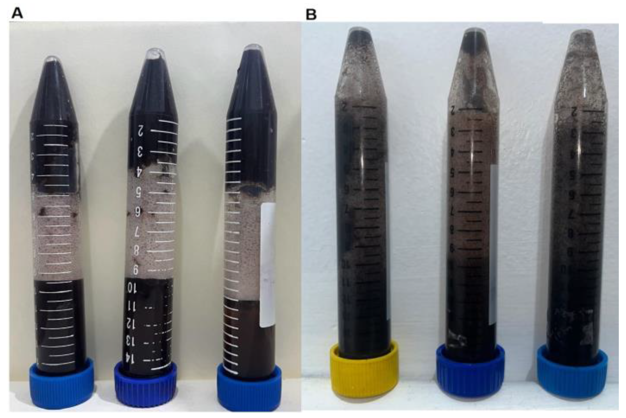 Preprints 117732 g003