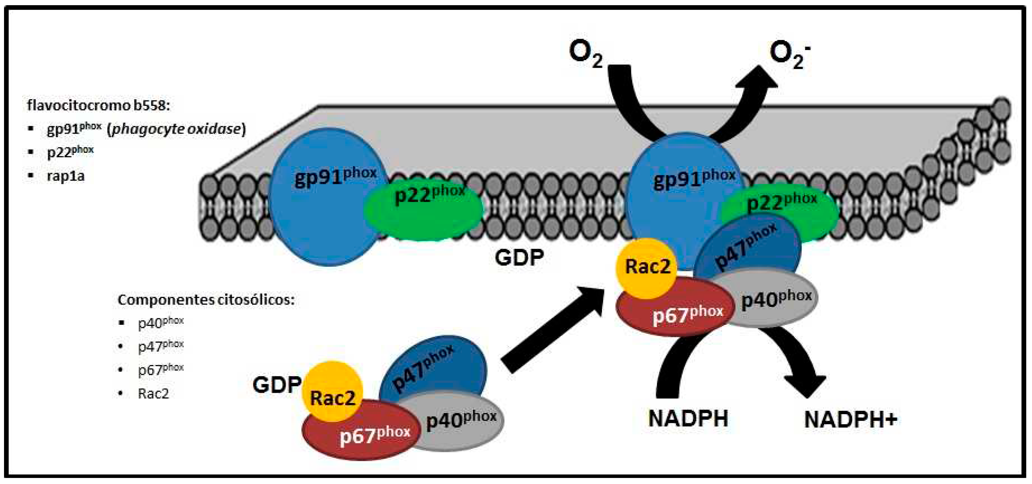 Preprints 85824 g001