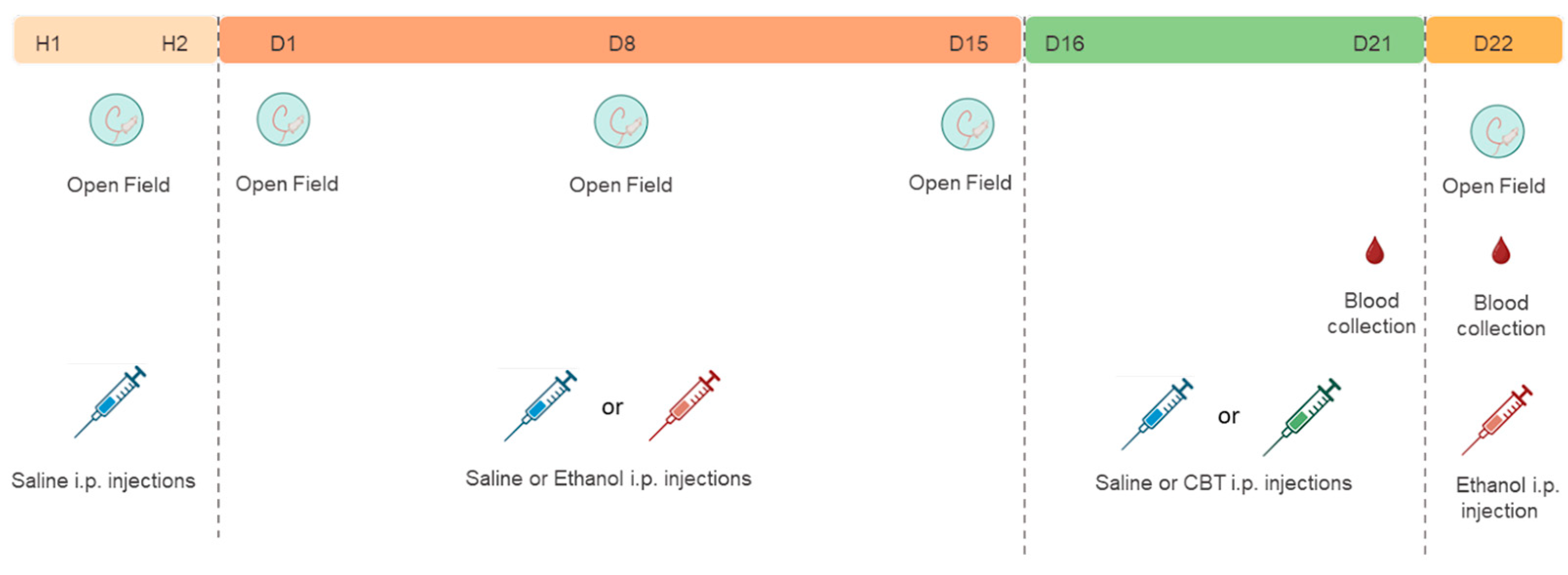 Preprints 86372 g001