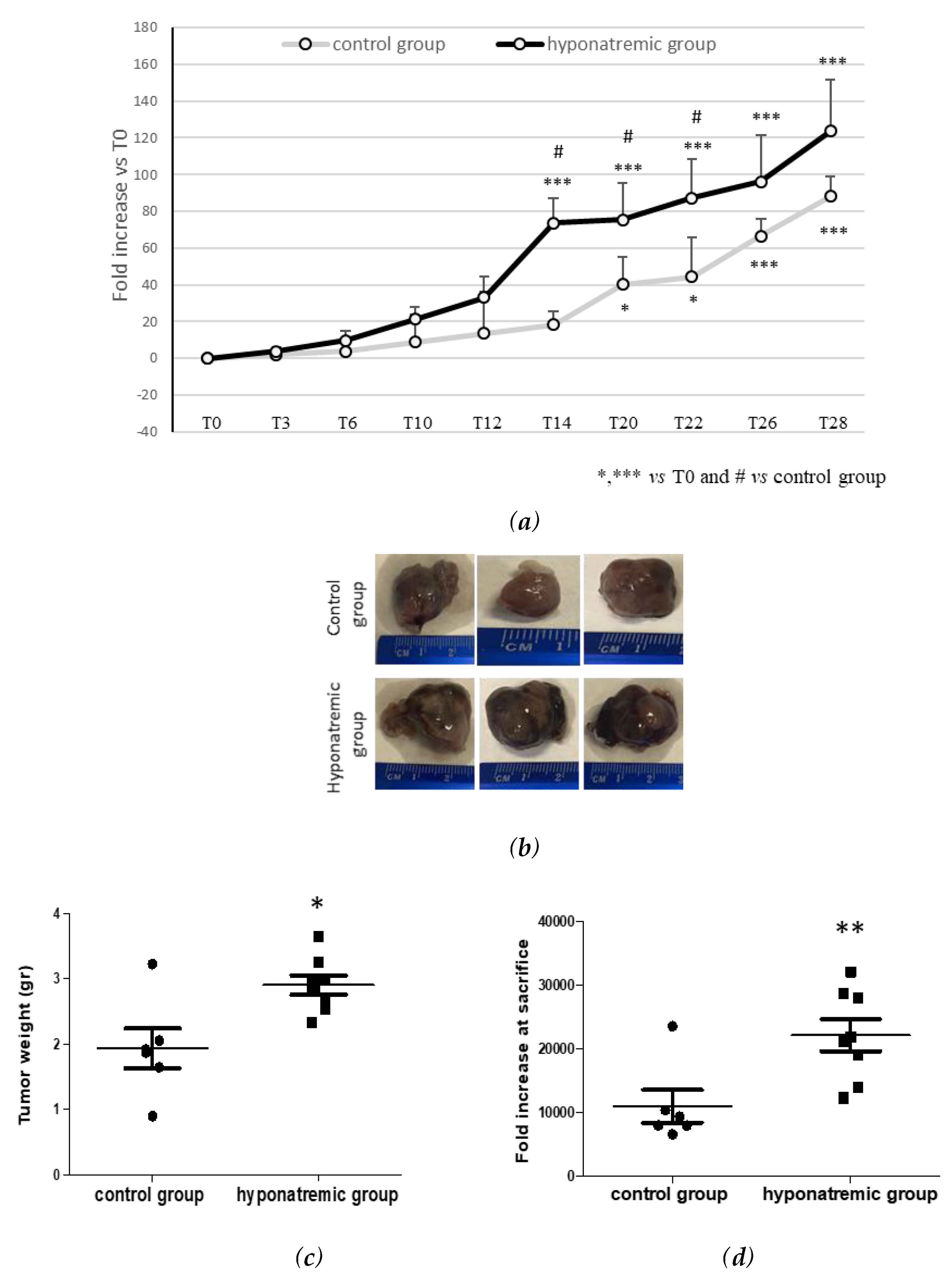 Preprints 87696 g002