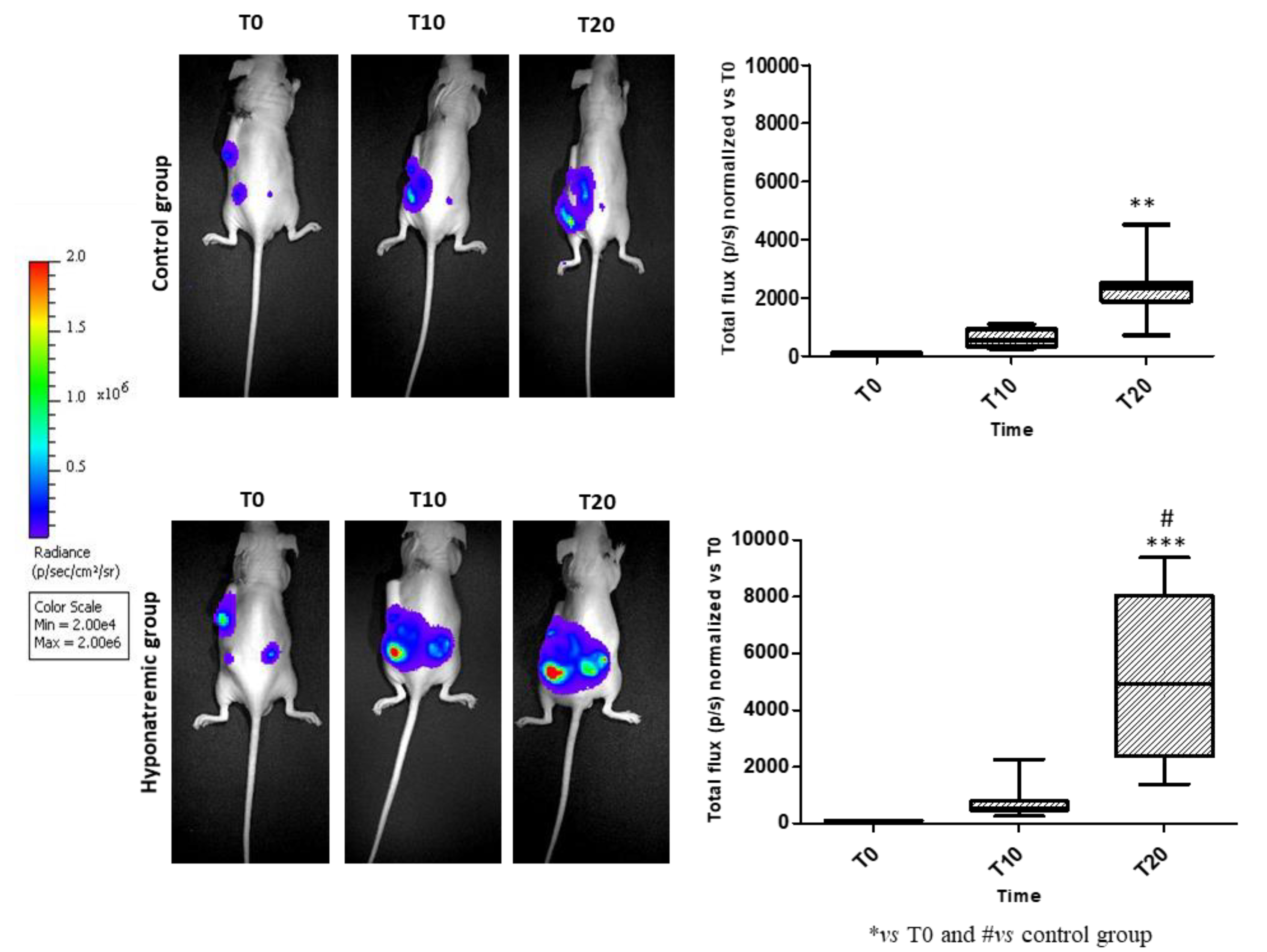 Preprints 87696 g004