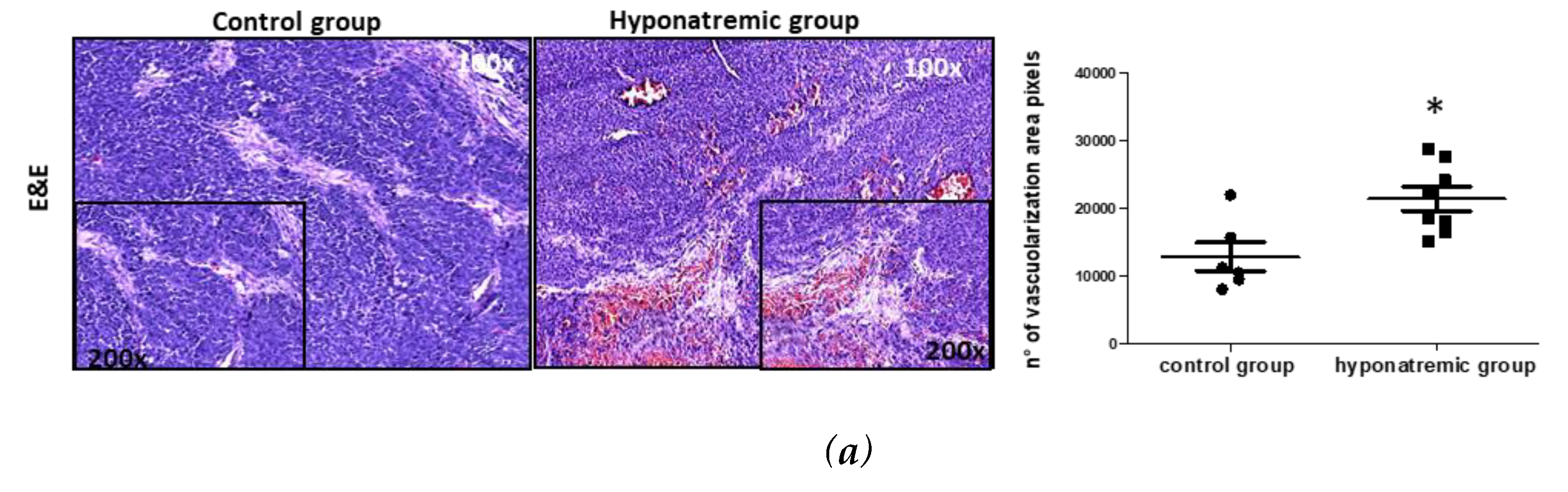 Preprints 87696 g005a