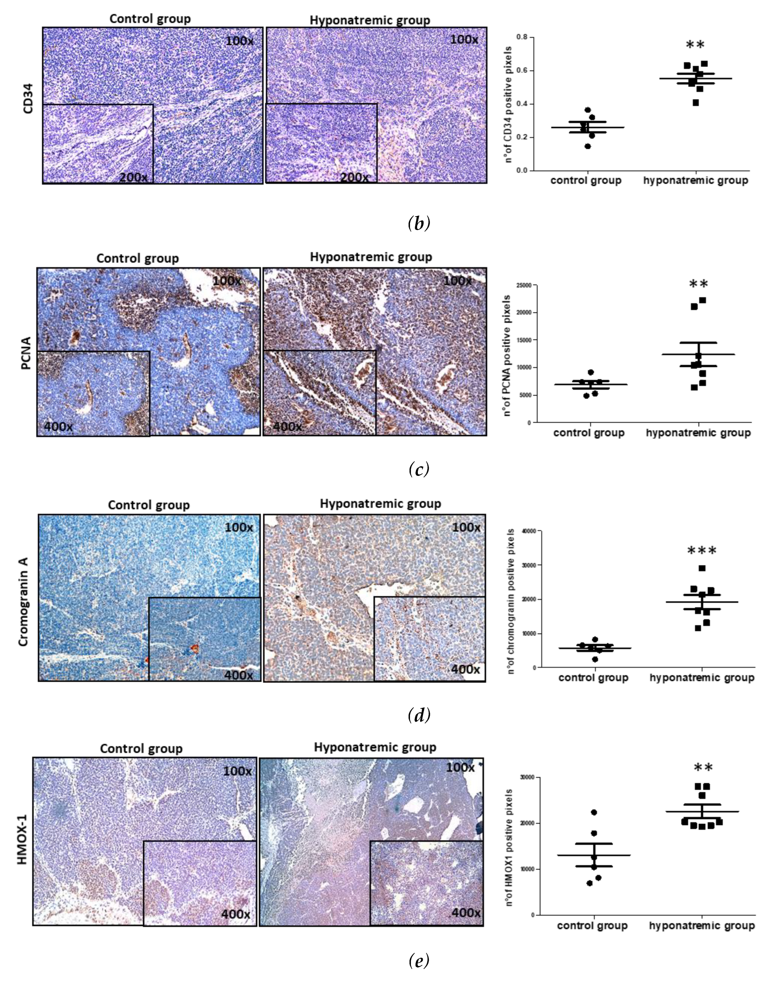 Preprints 87696 g005b