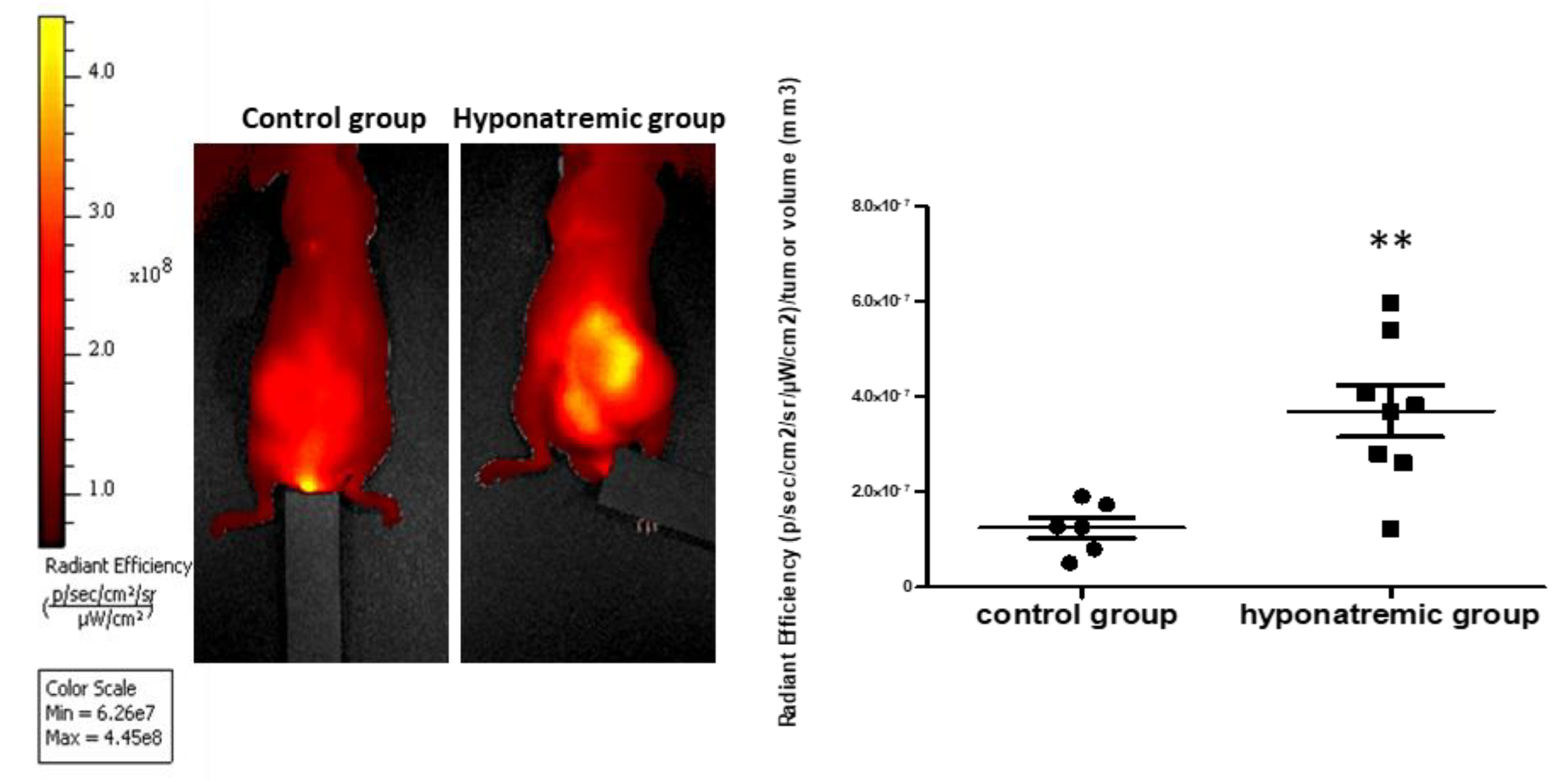 Preprints 87696 g006