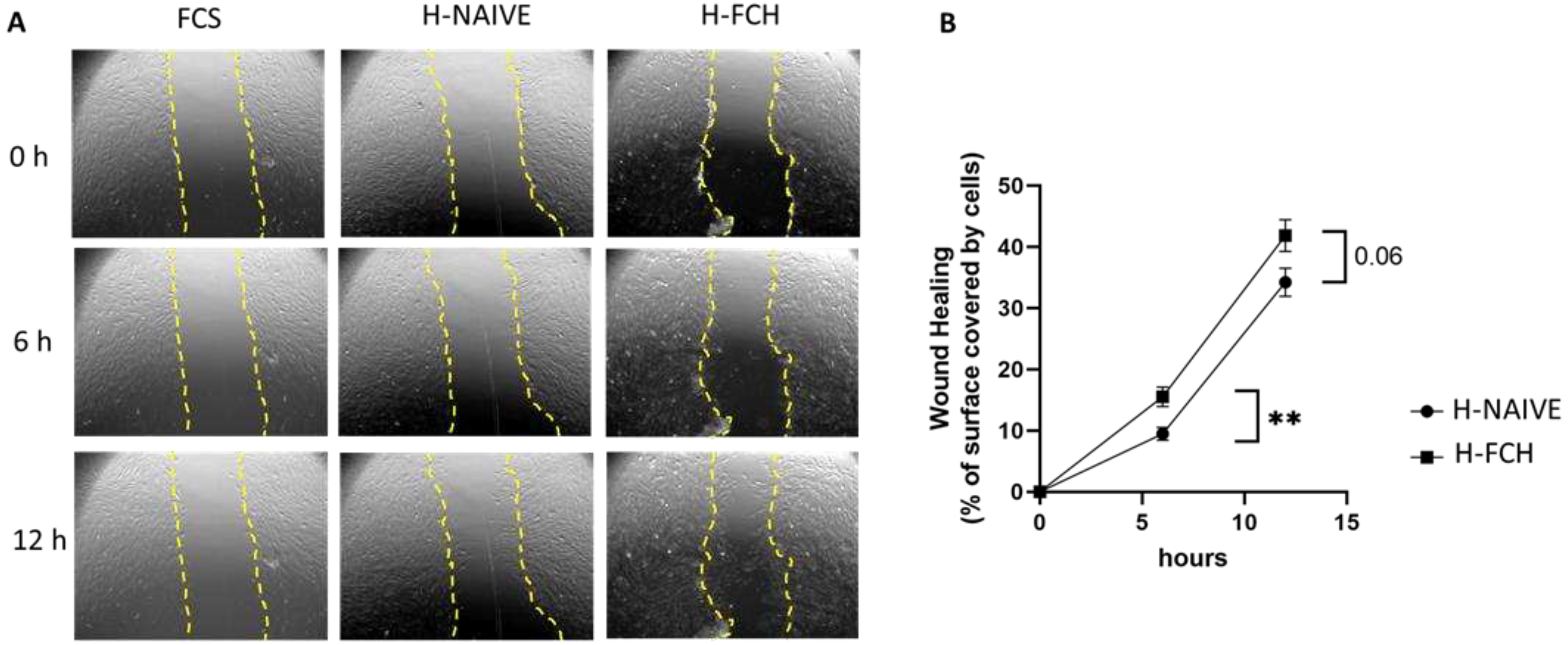 Preprints 92343 g001