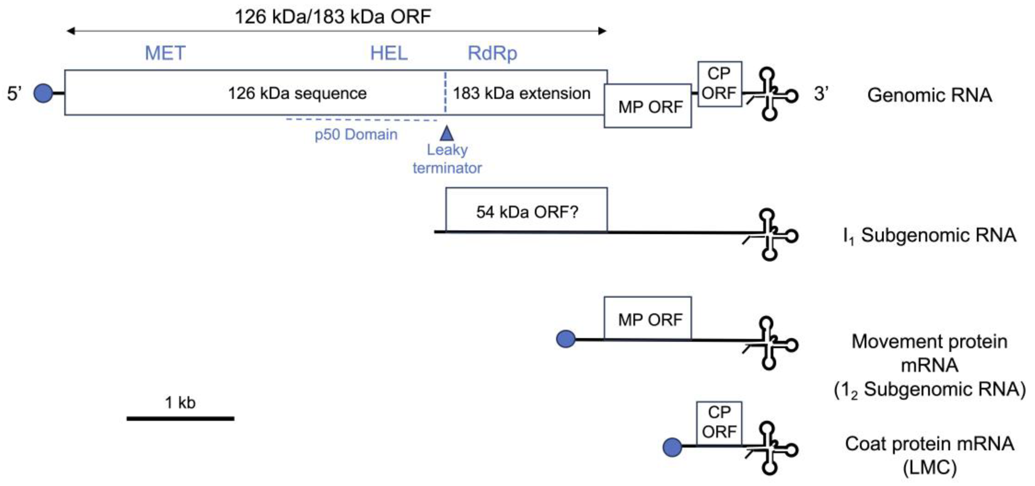 Preprints 107813 g001