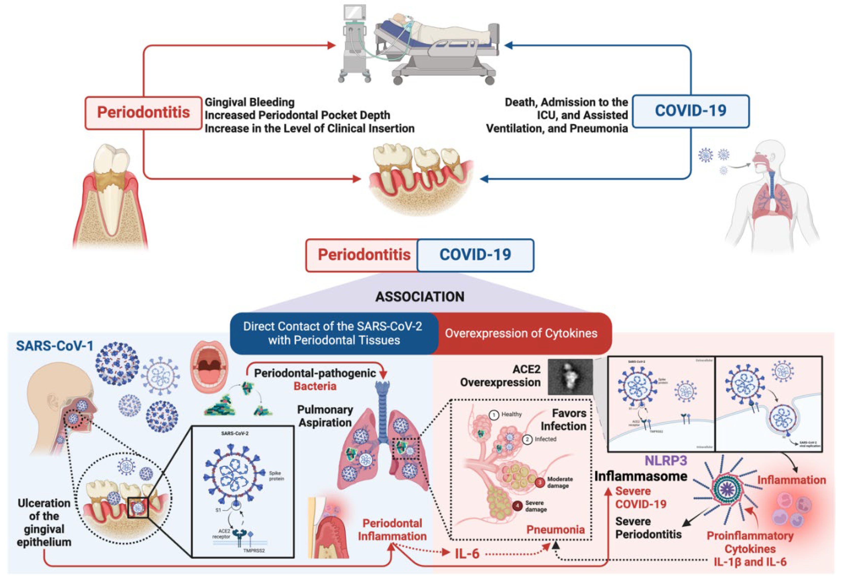 Preprints 138887 g002