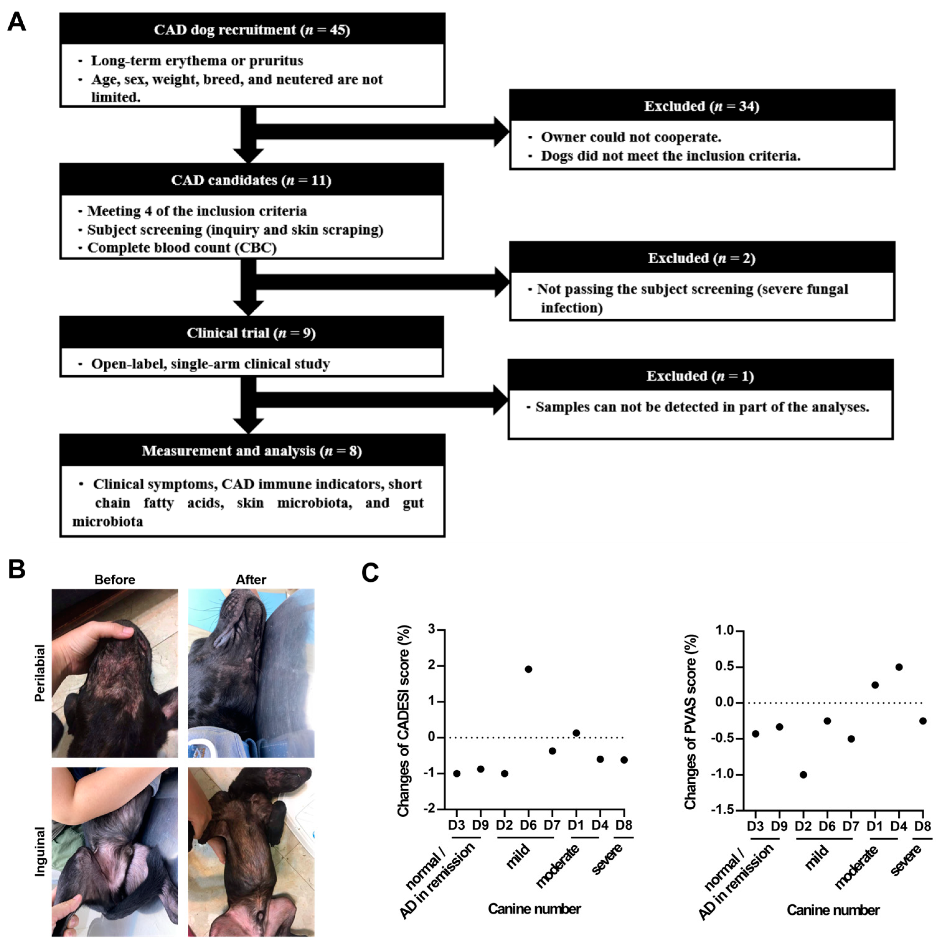 Preprints 105710 g001