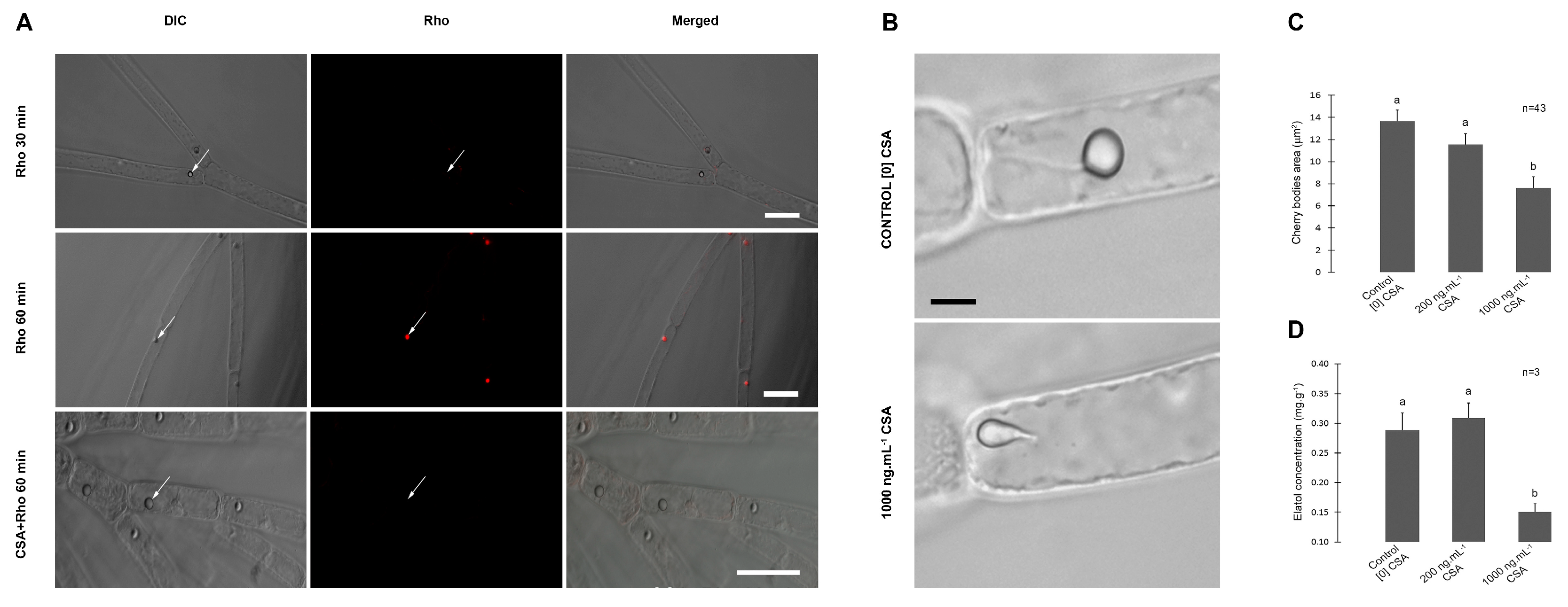 Preprints 79305 g001