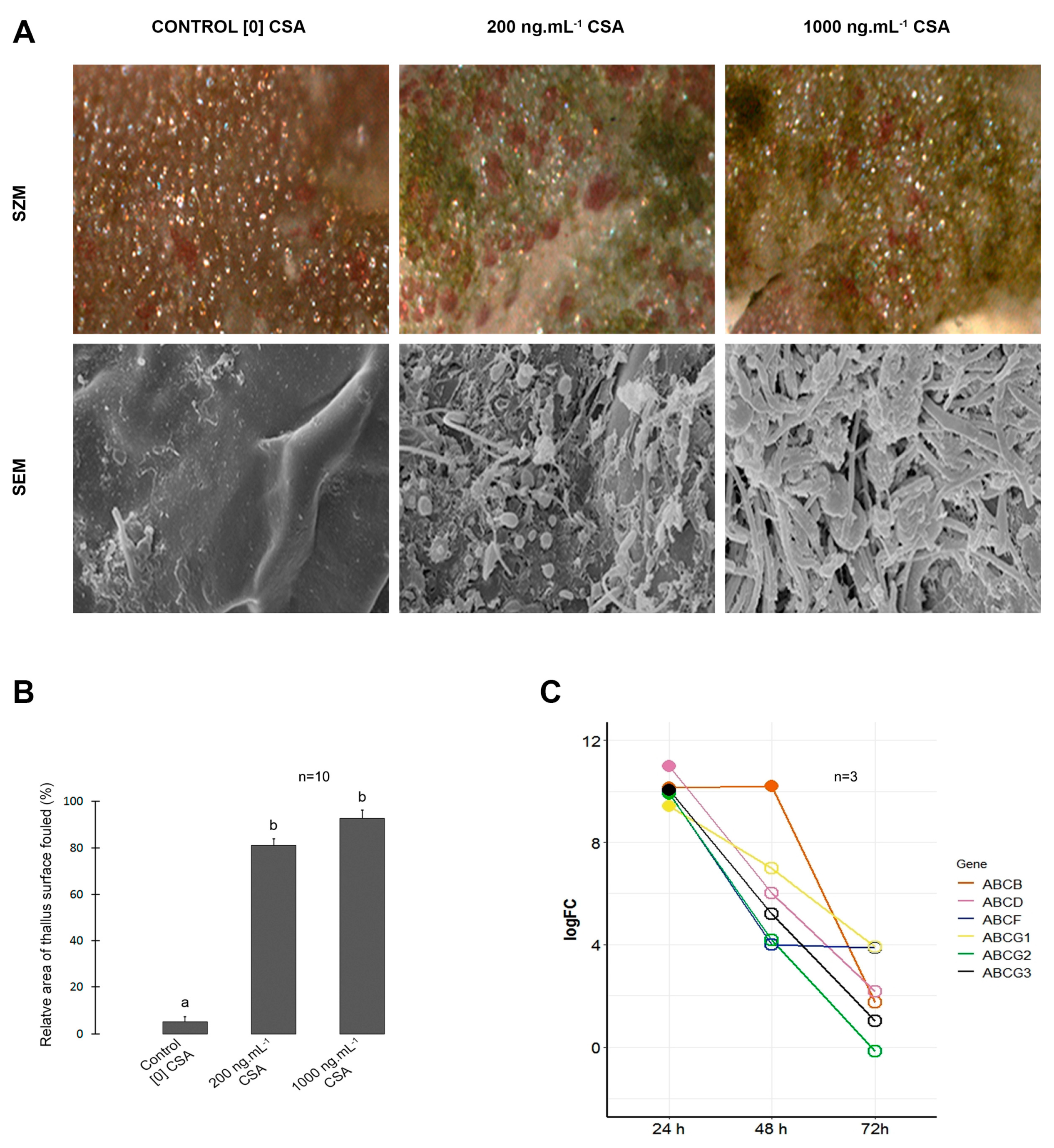 Preprints 79305 g002