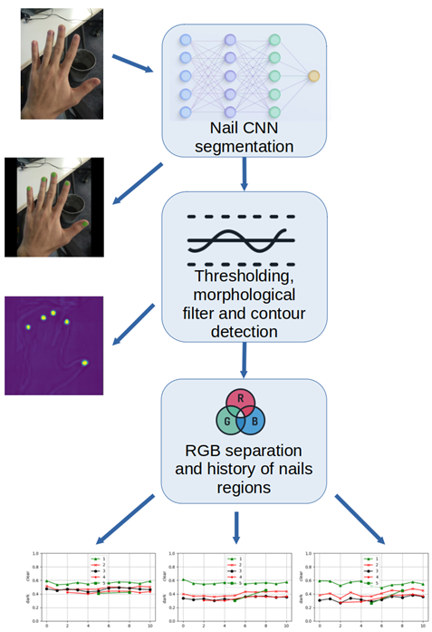 Preprints 137713 i001