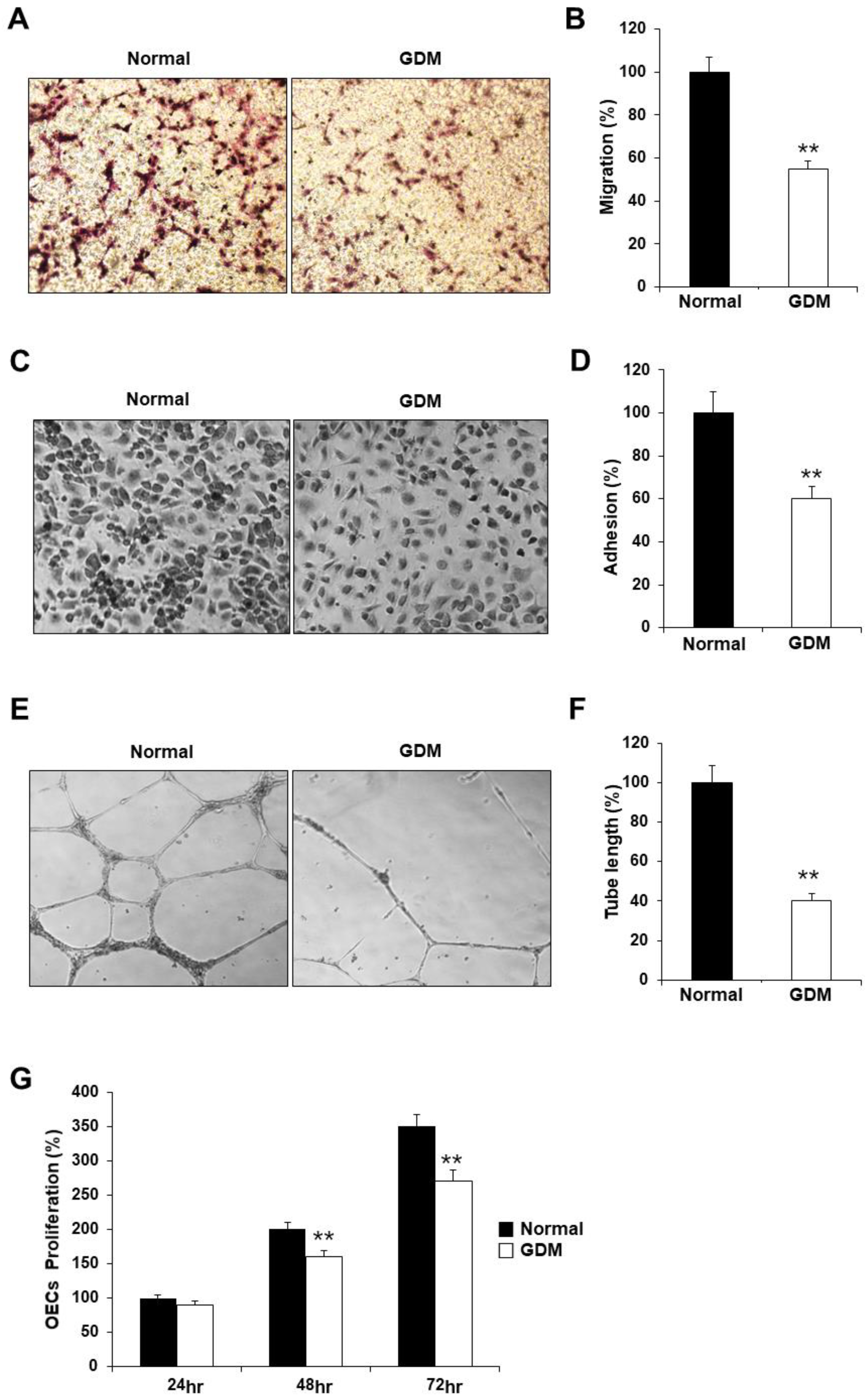 Preprints 87523 g001