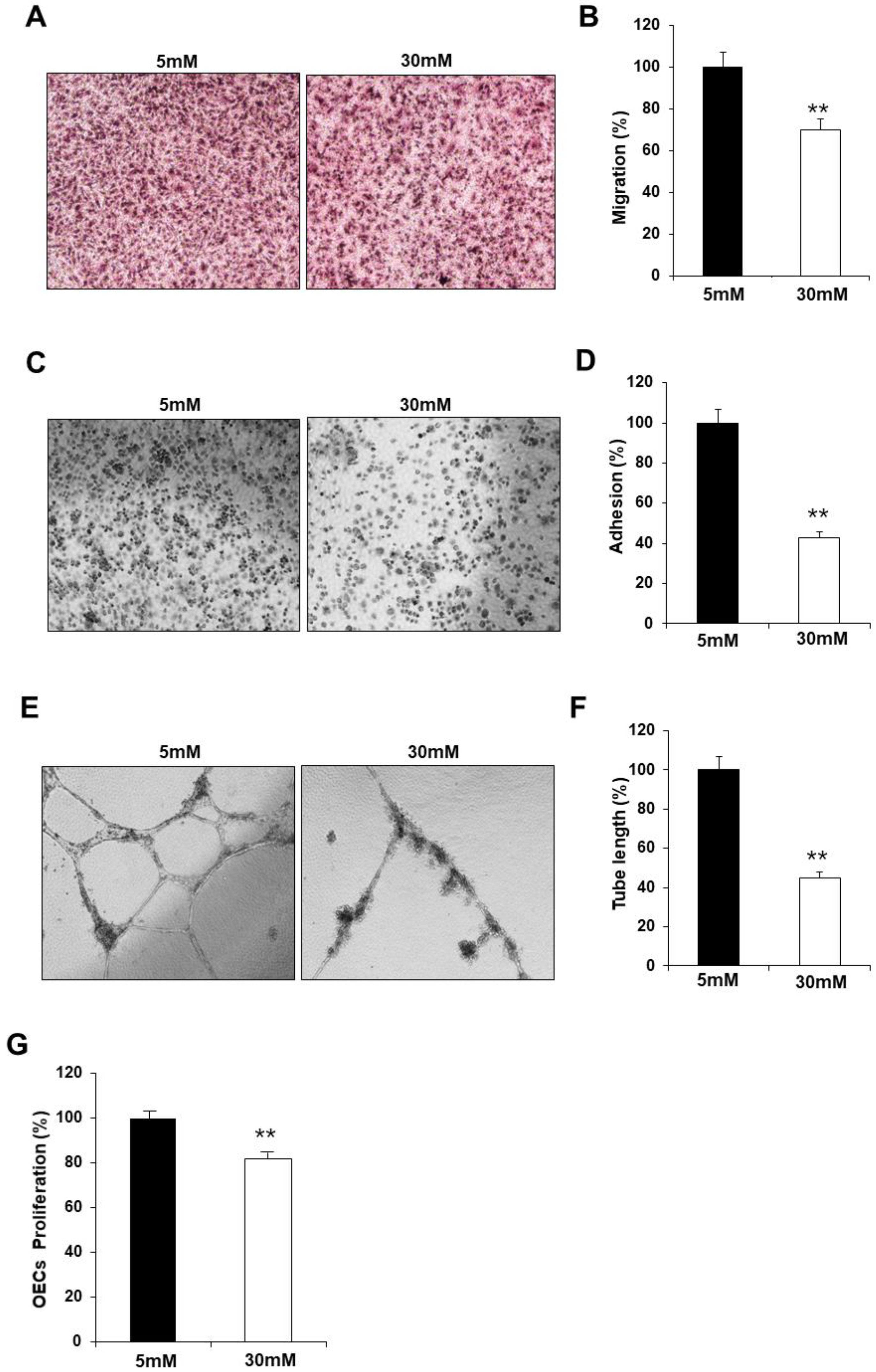 Preprints 87523 g002