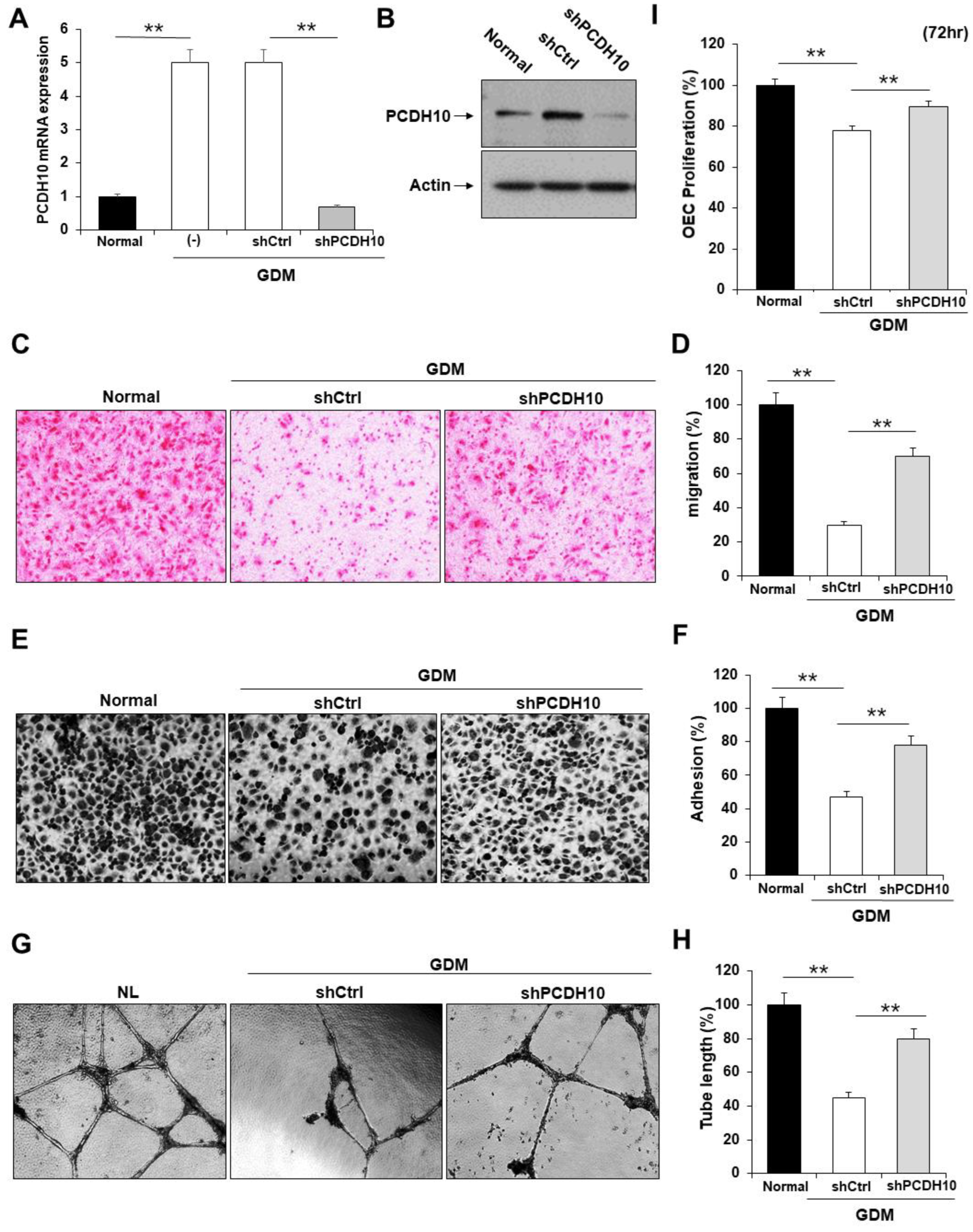 Preprints 87523 g005