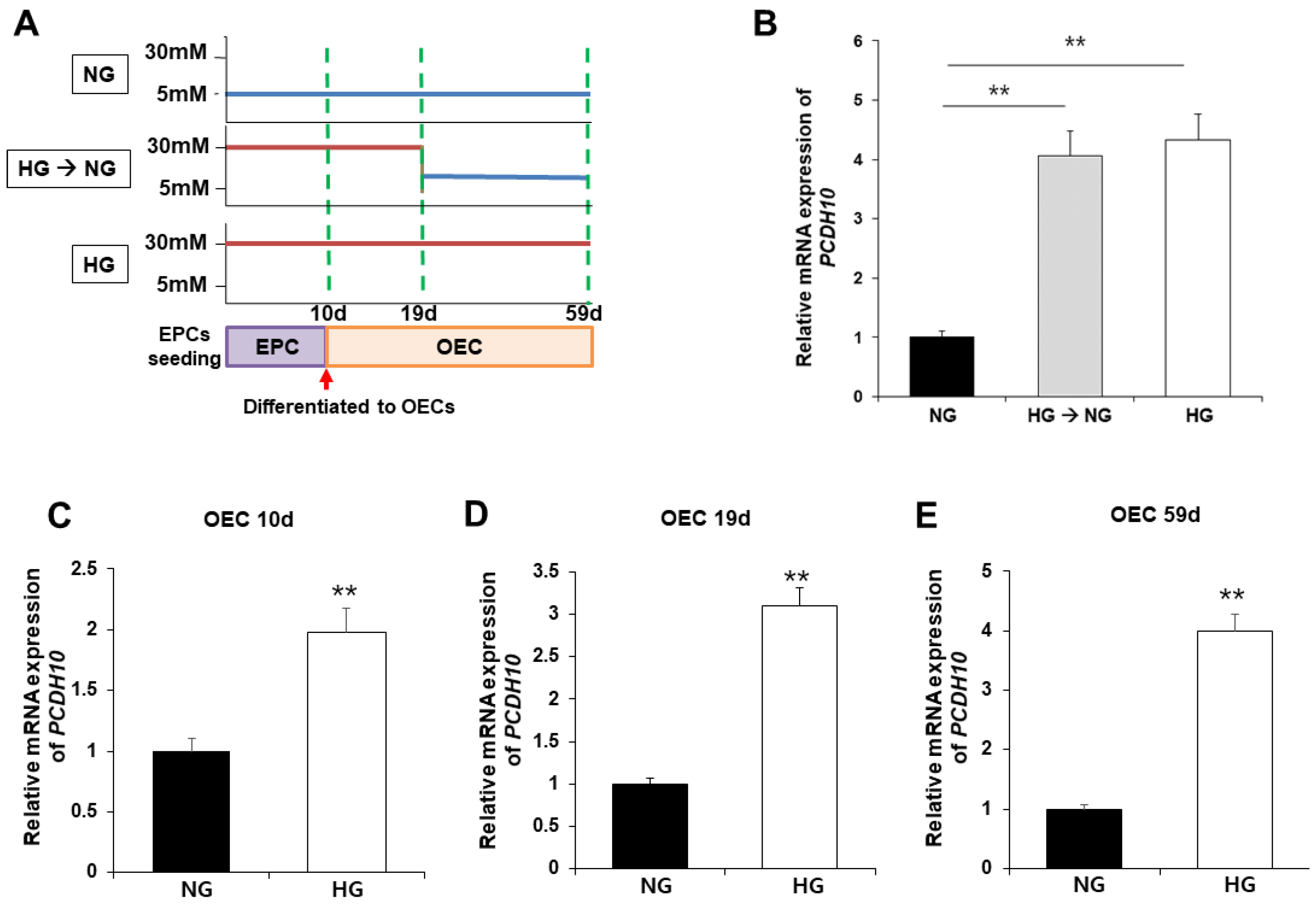 Preprints 87523 g006