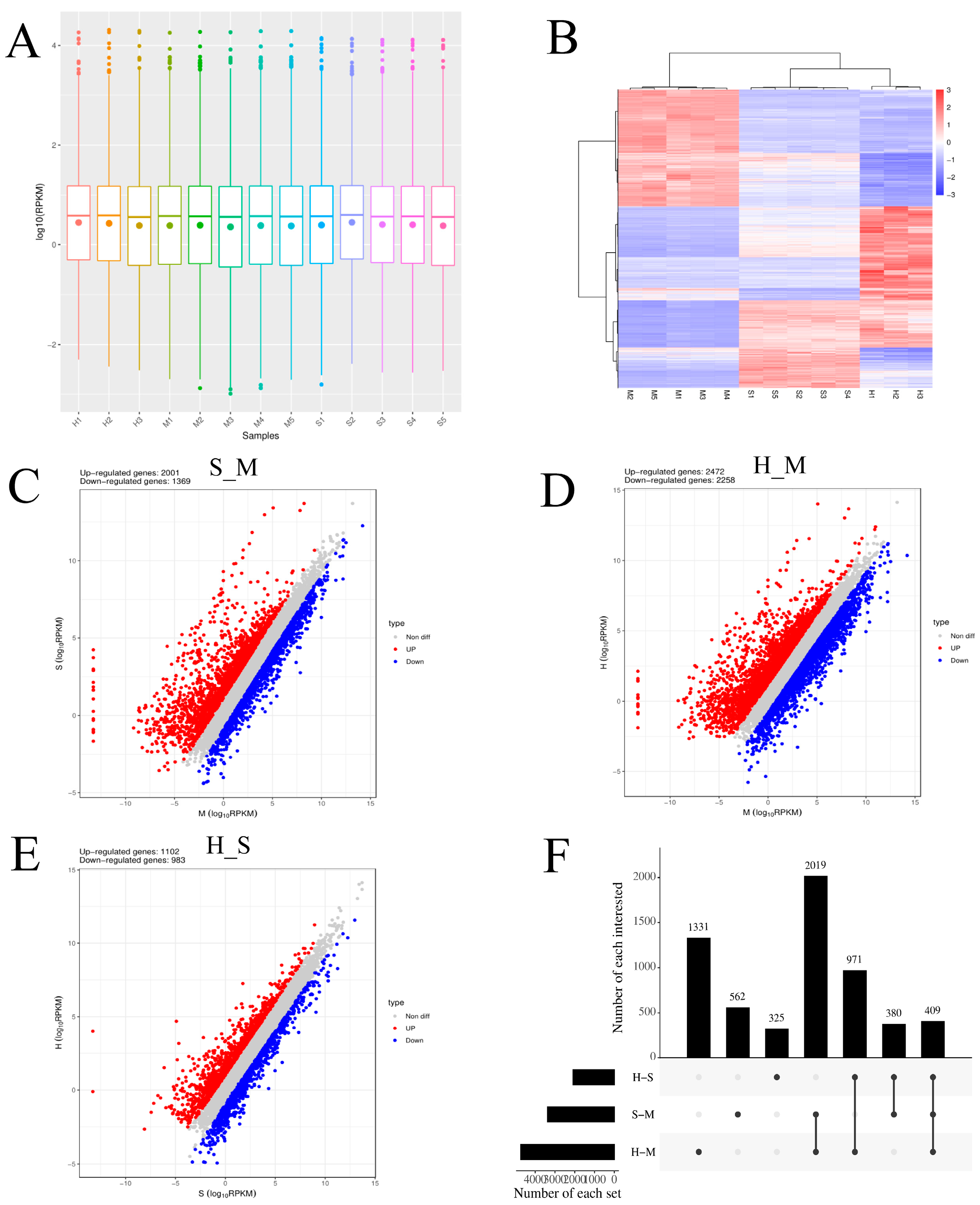 Preprints 115566 g001