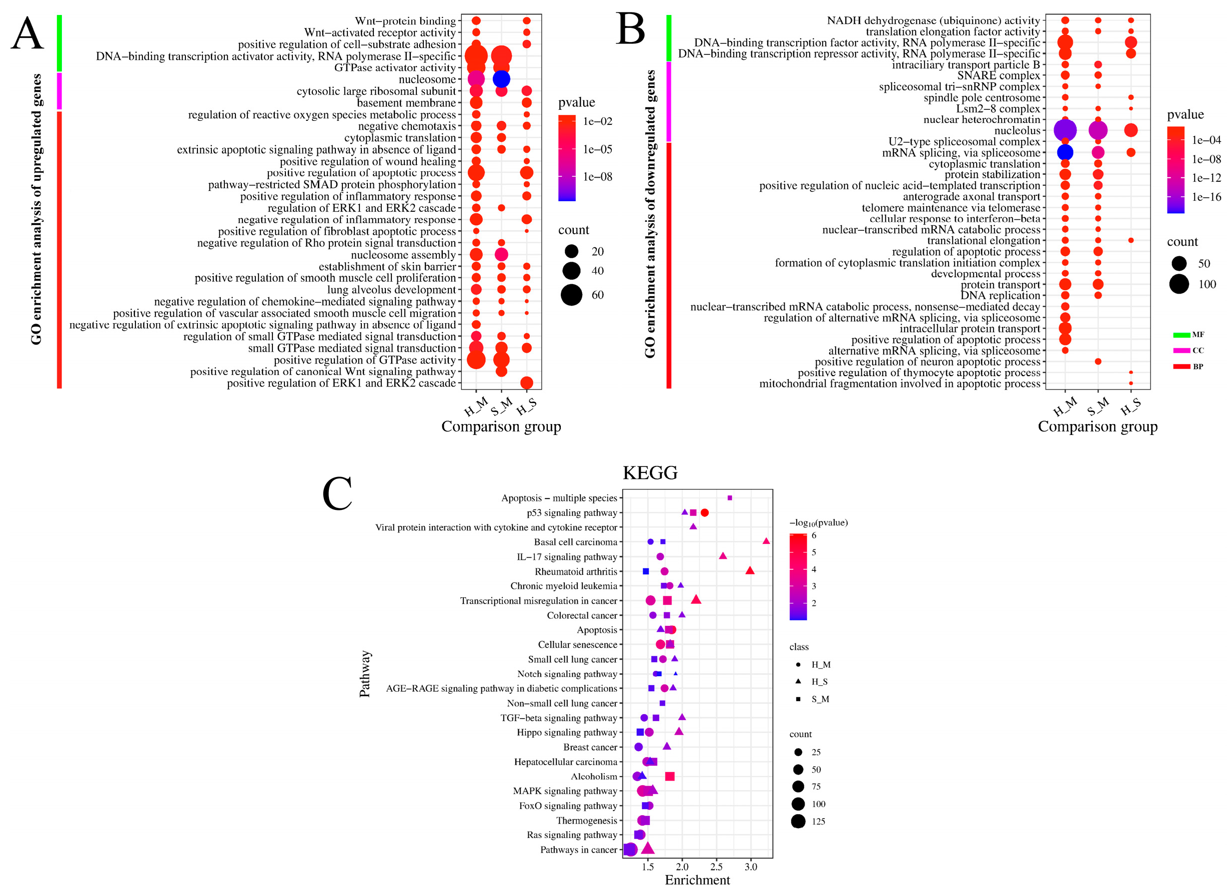 Preprints 115566 g002