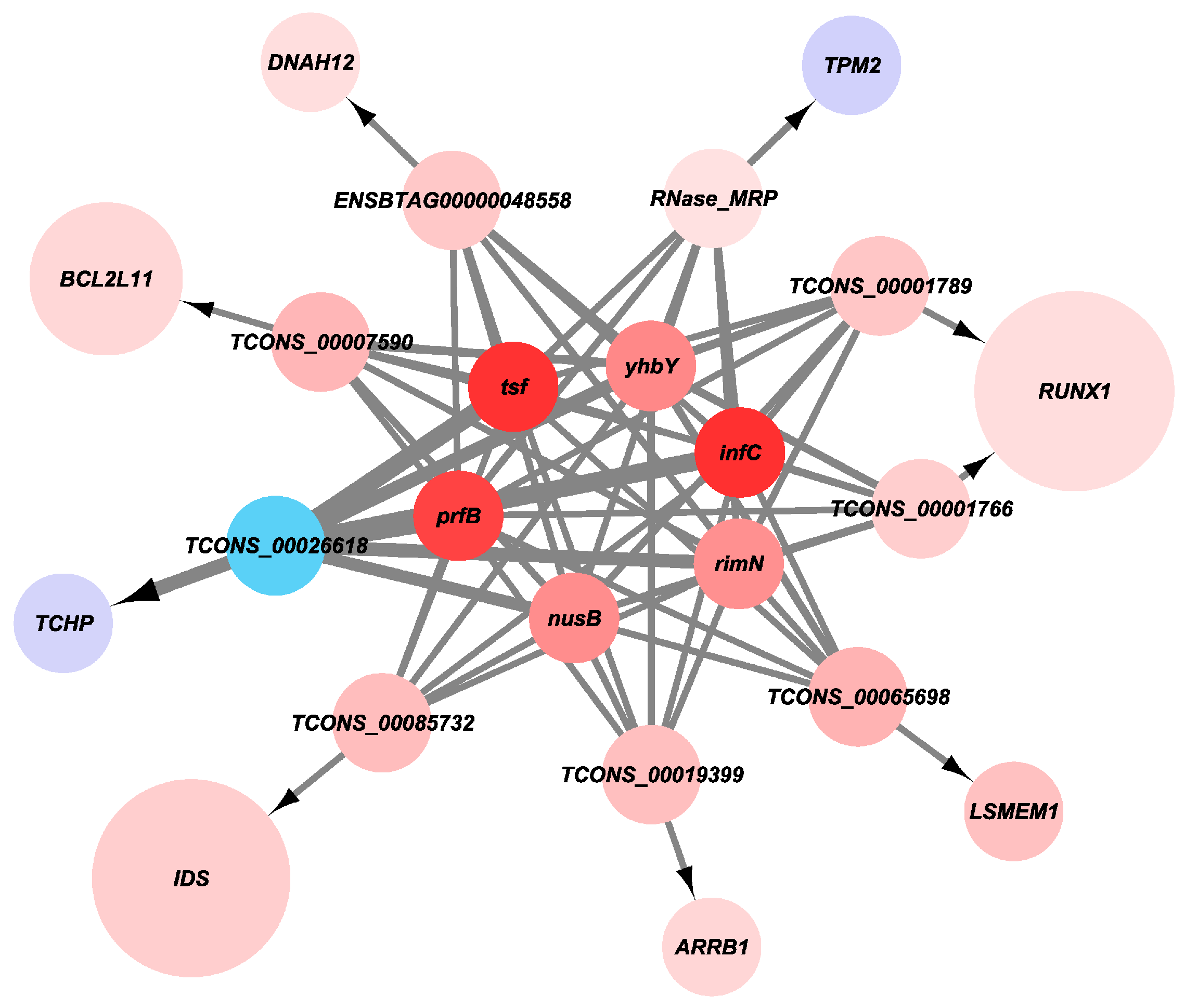 Preprints 115566 g010