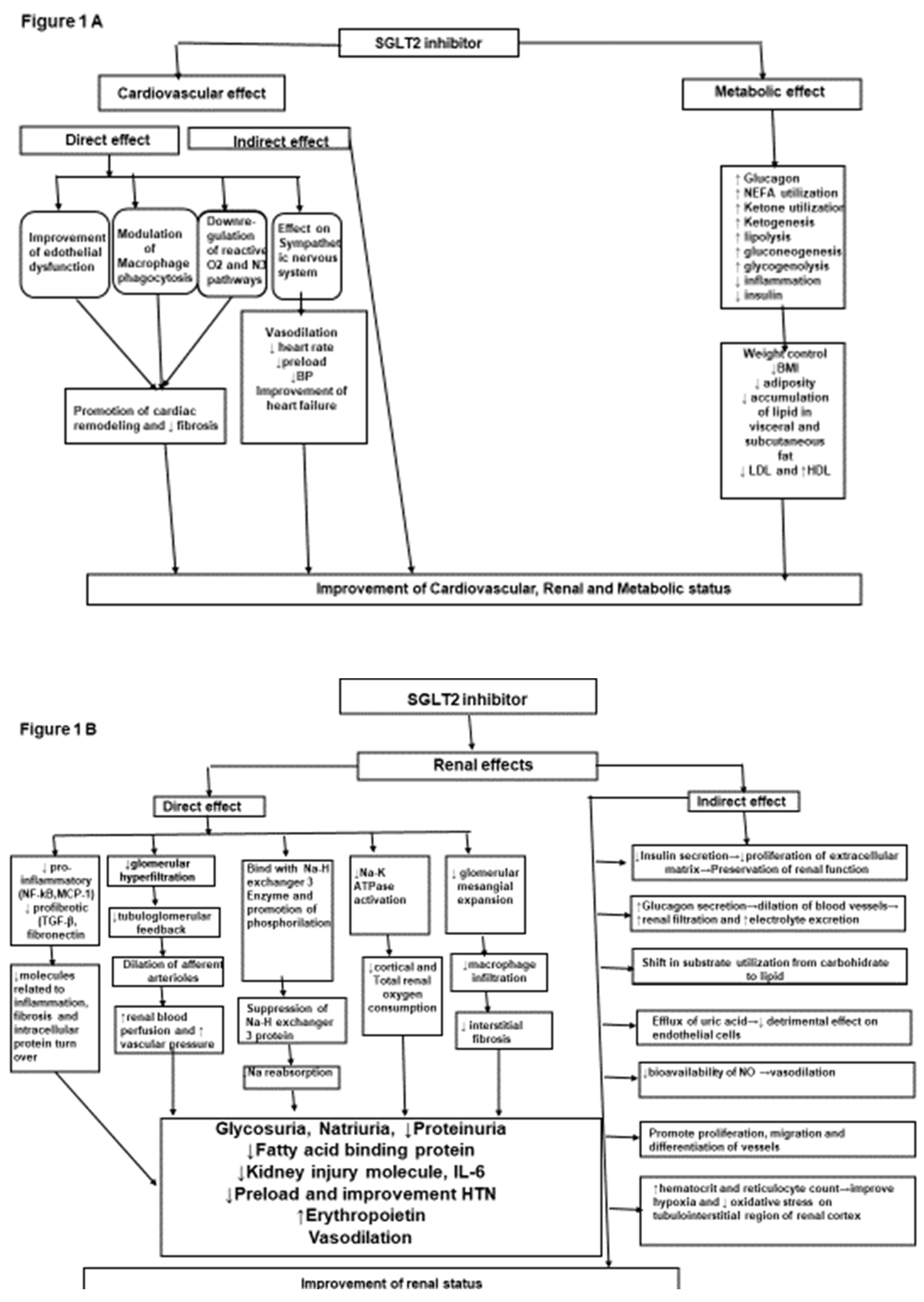 Preprints 107454 g001