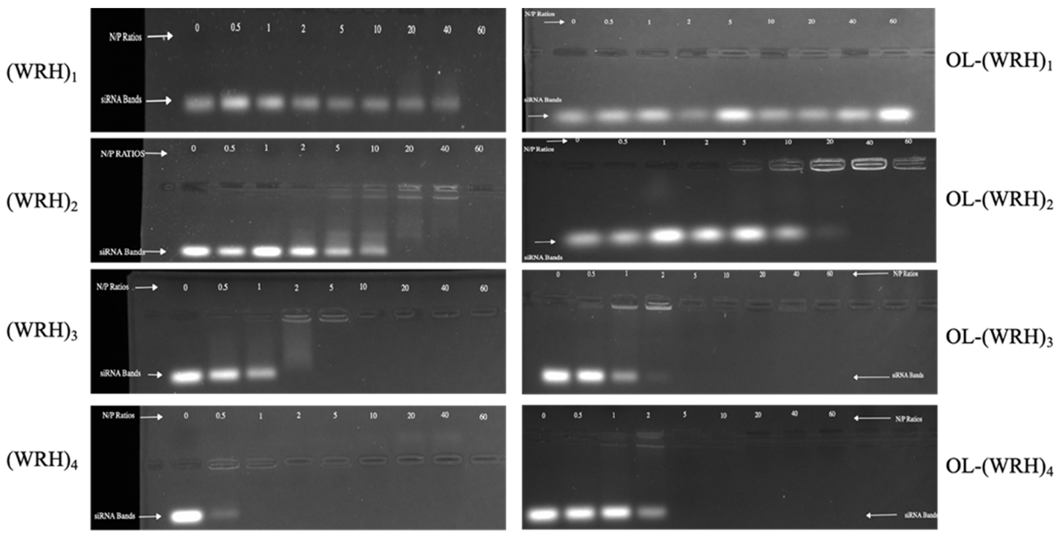 Preprints 111750 g004