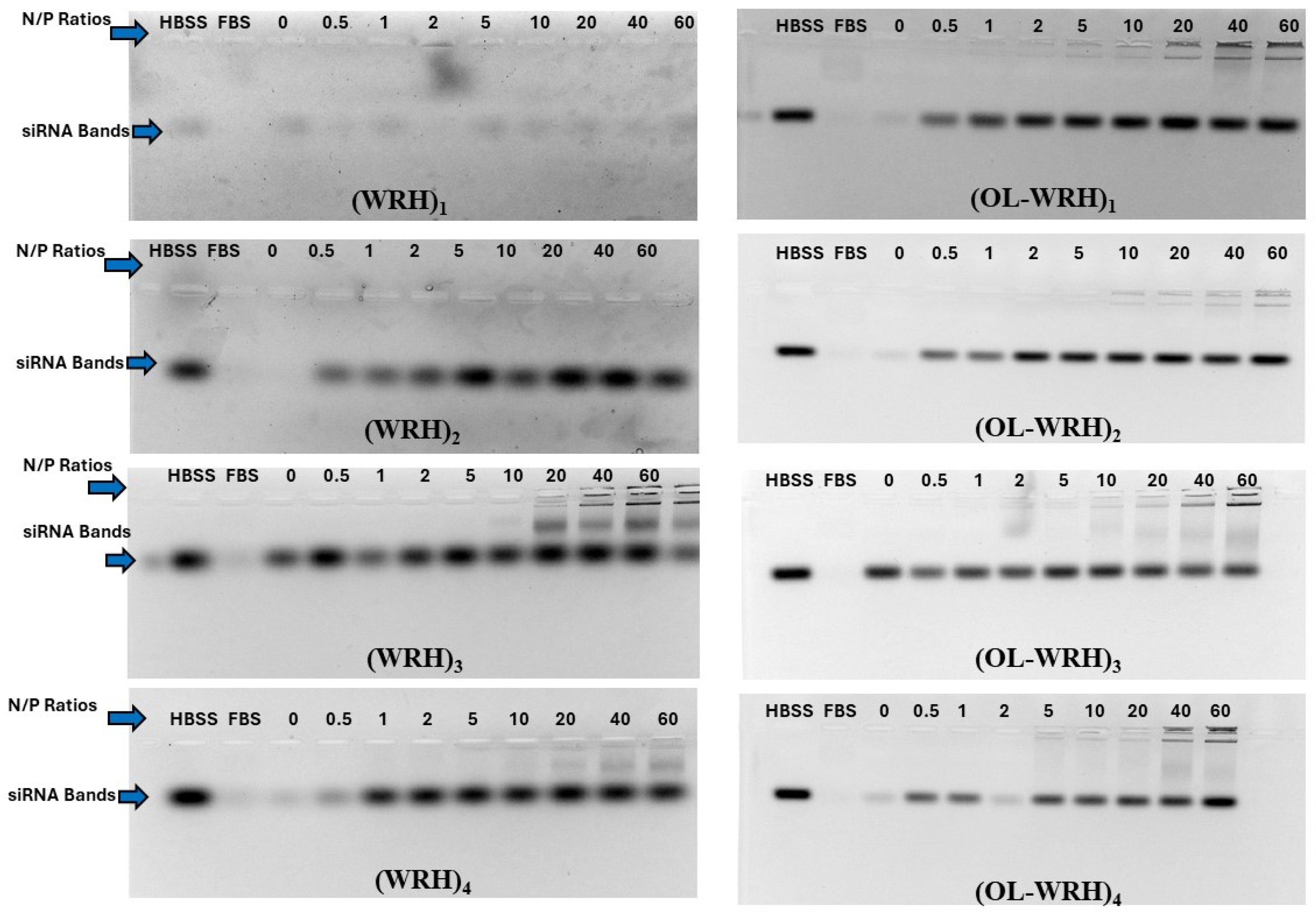 Preprints 111750 g005