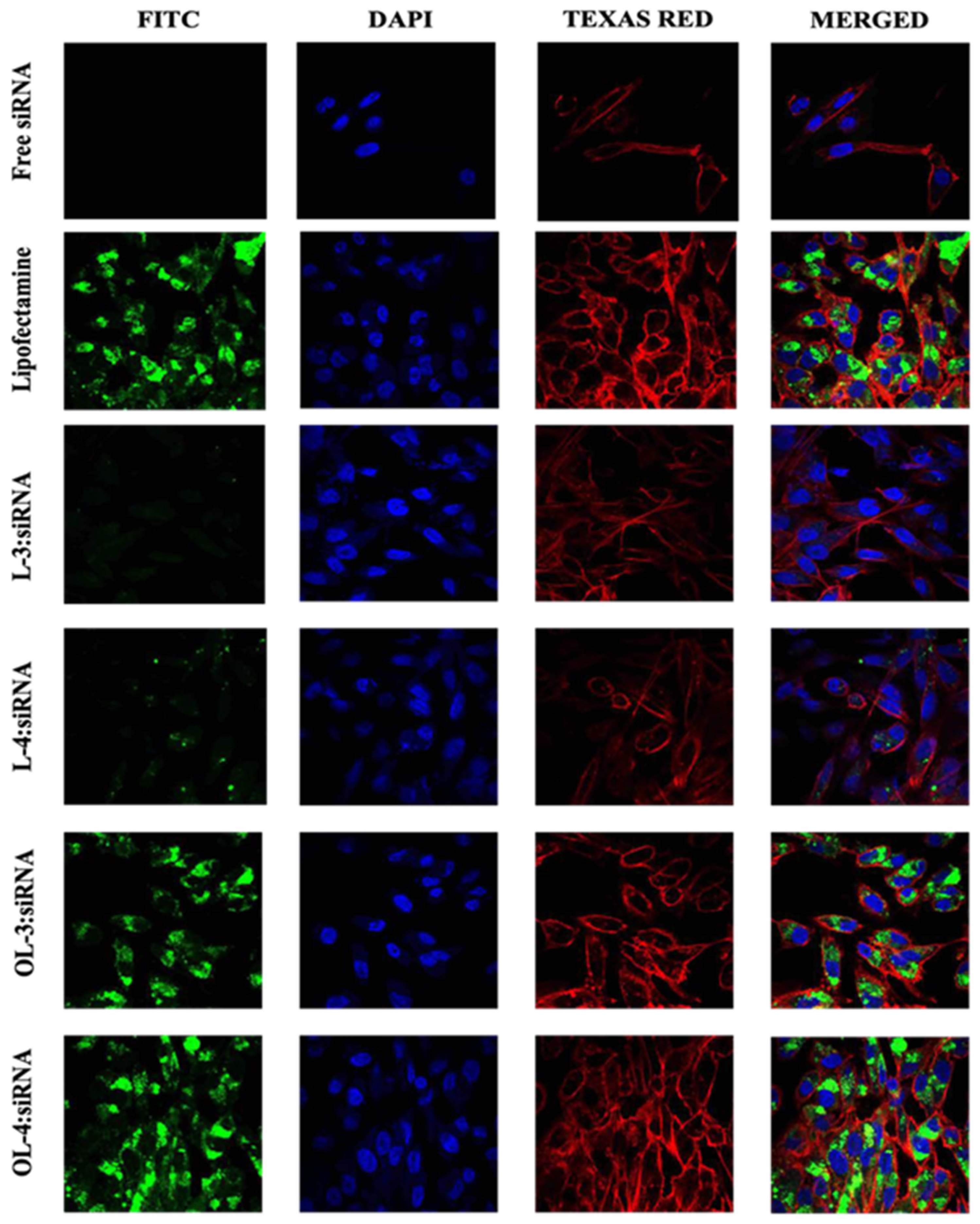 Preprints 111750 g010