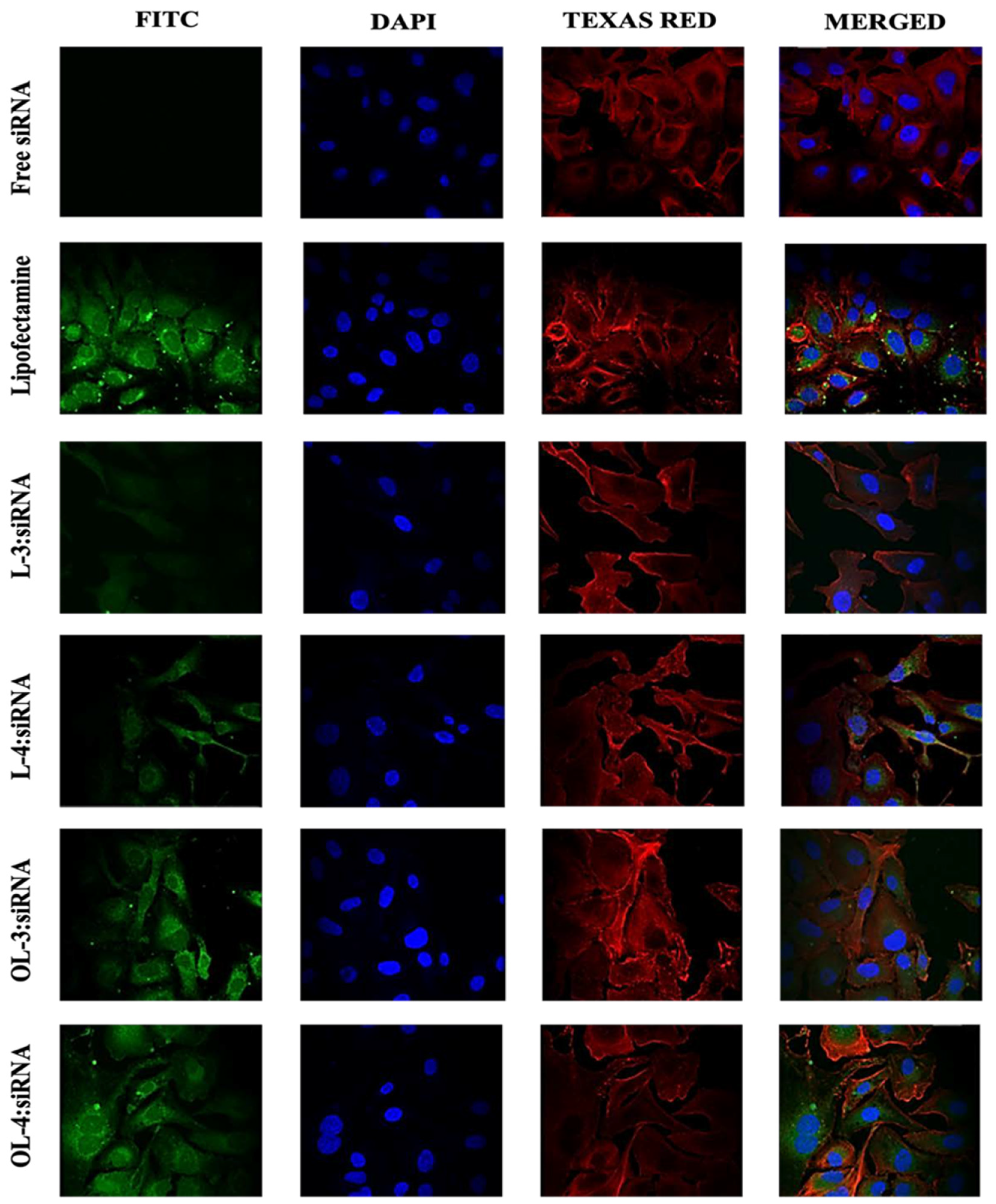 Preprints 111750 g011