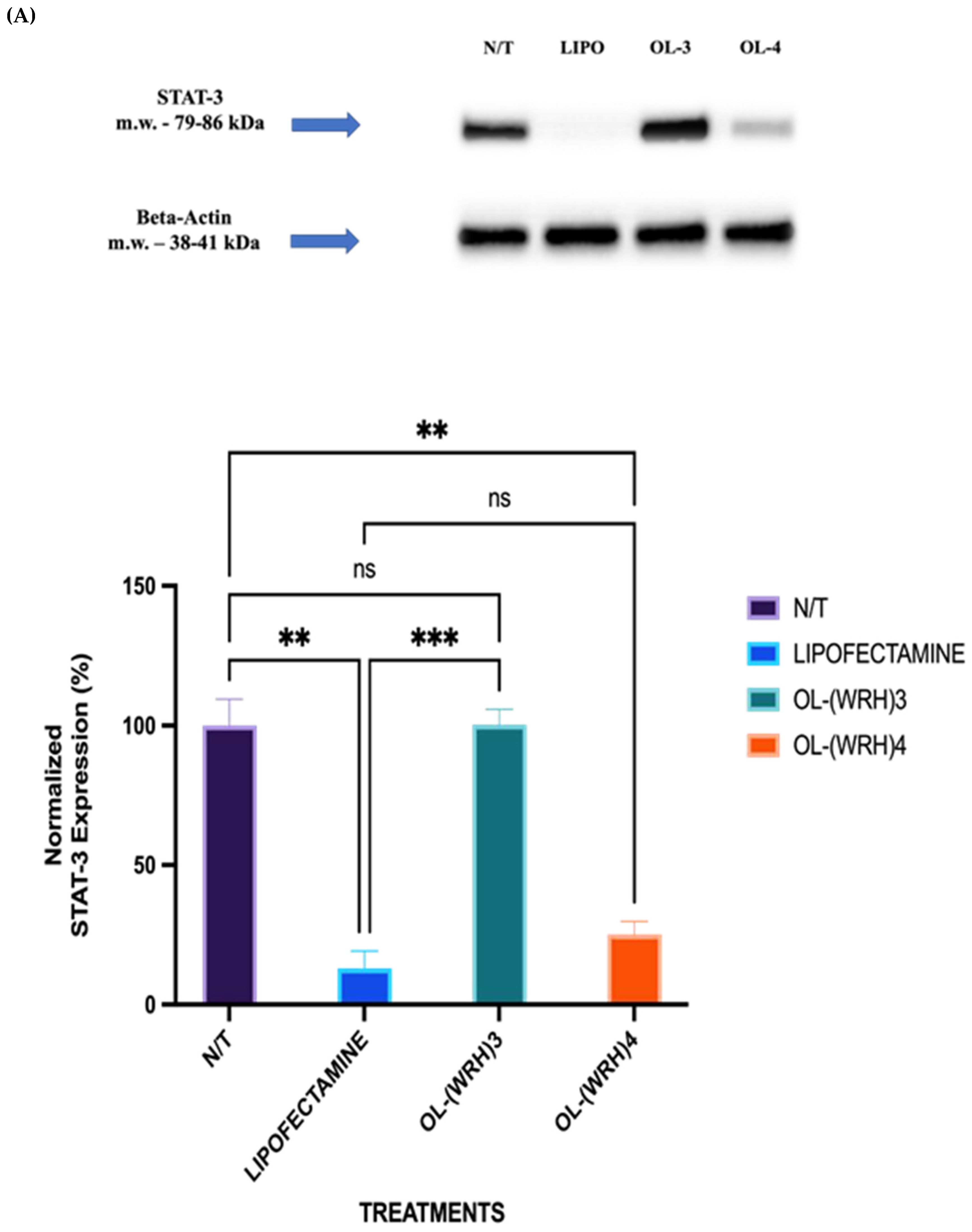 Preprints 111750 g012a