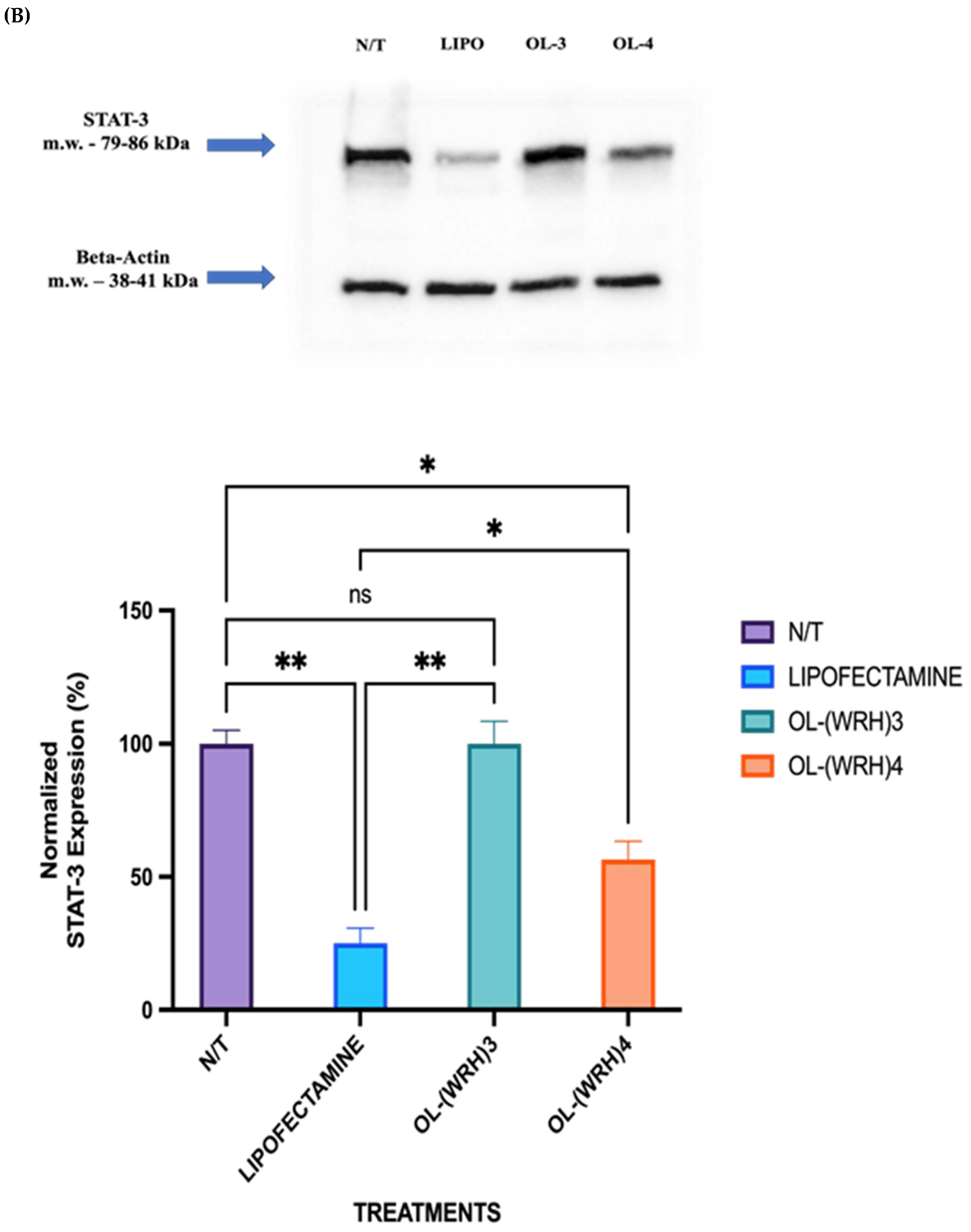 Preprints 111750 g012b