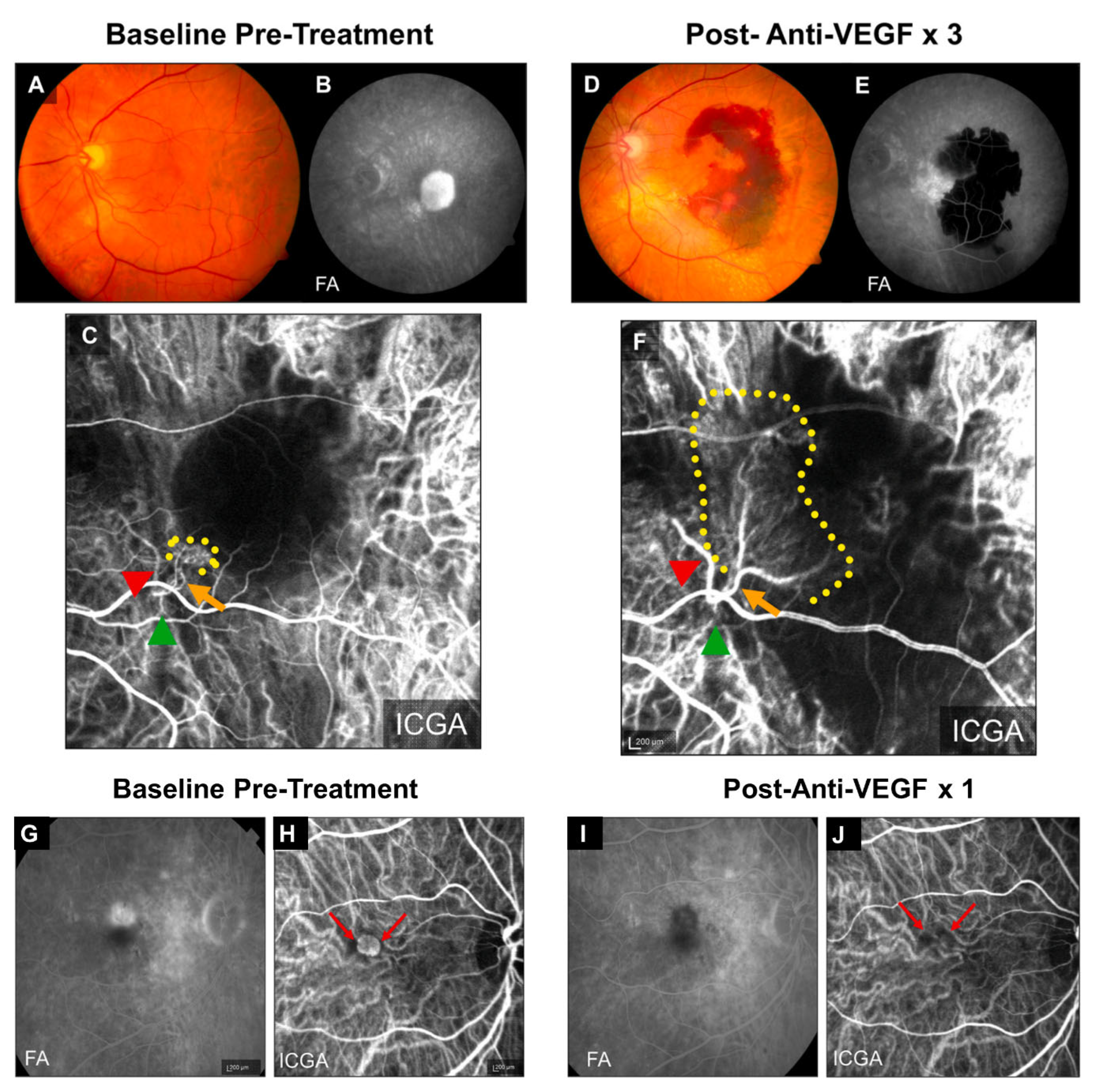 Preprints 97883 g001