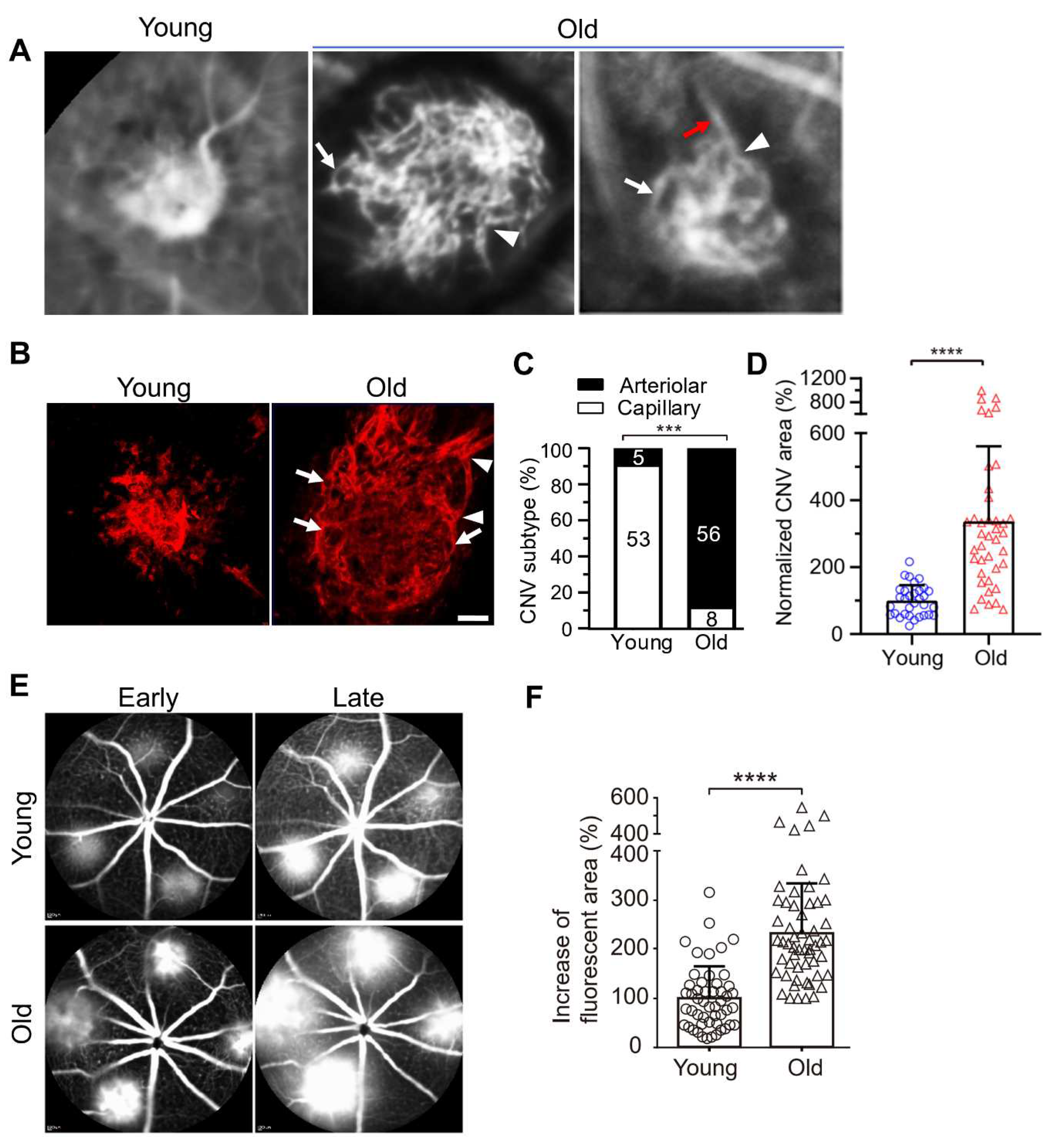 Preprints 97883 g002